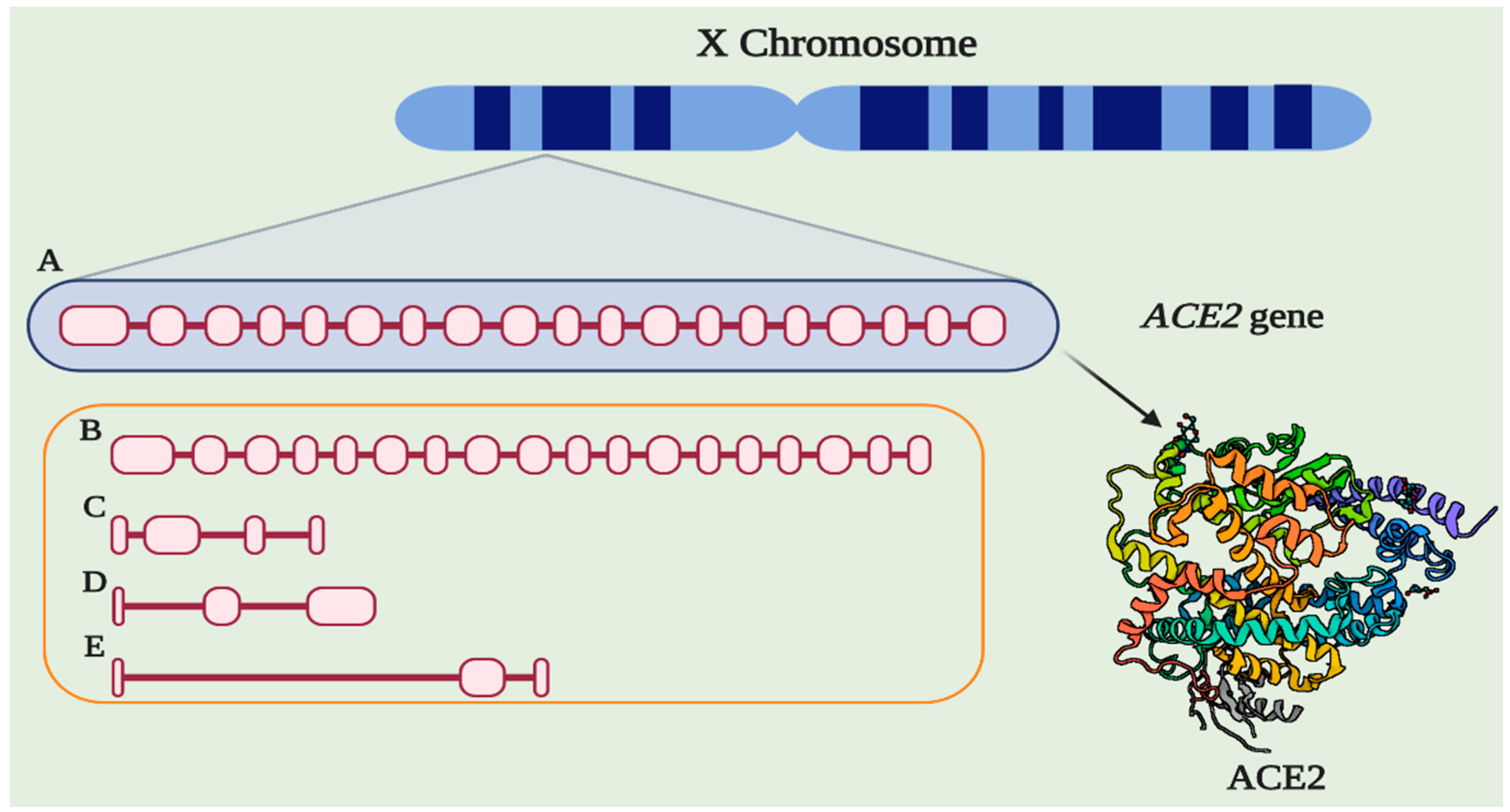 Pharmaceuticals 14 00805 g001