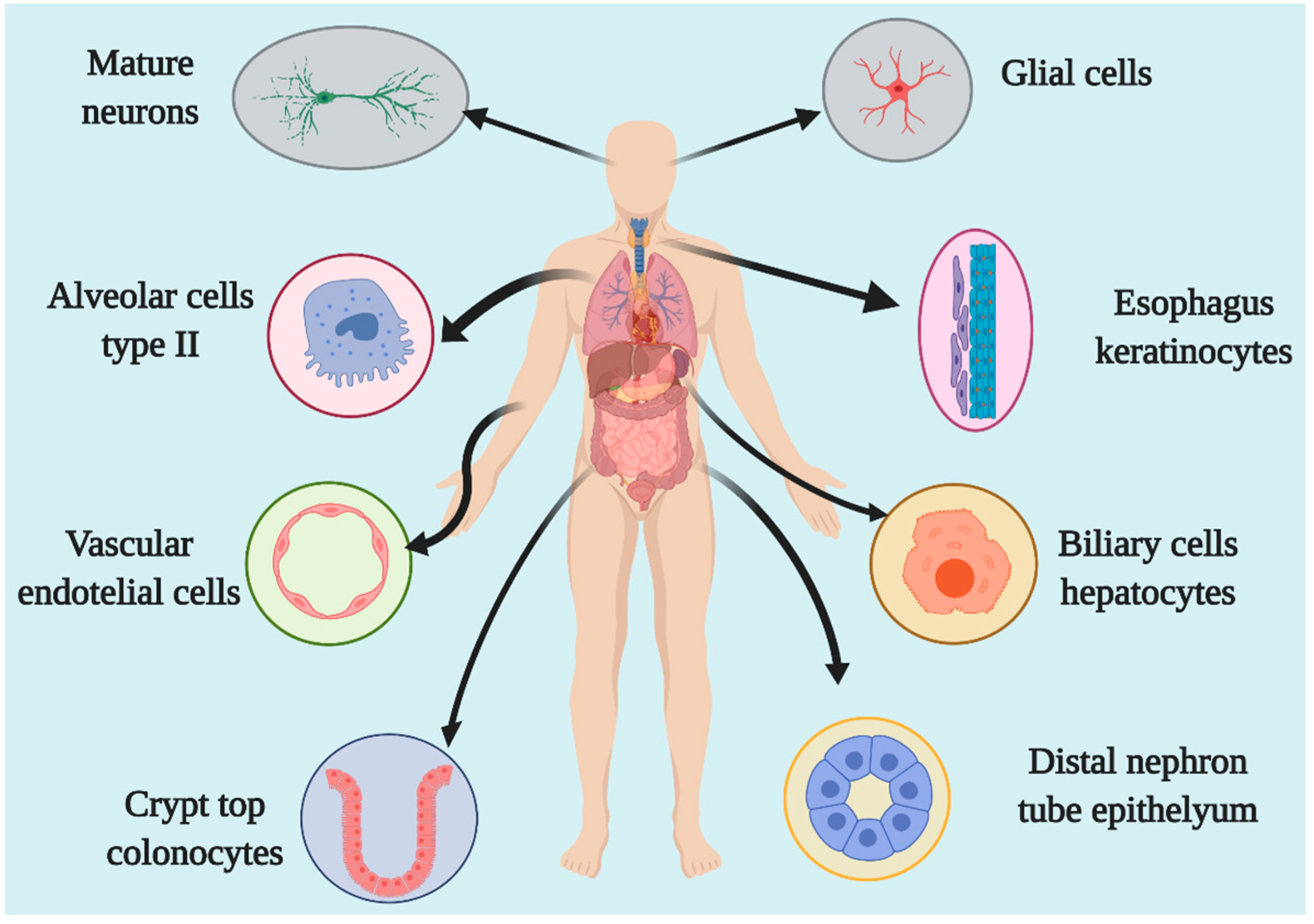 Pharmaceuticals 14 00805 g002