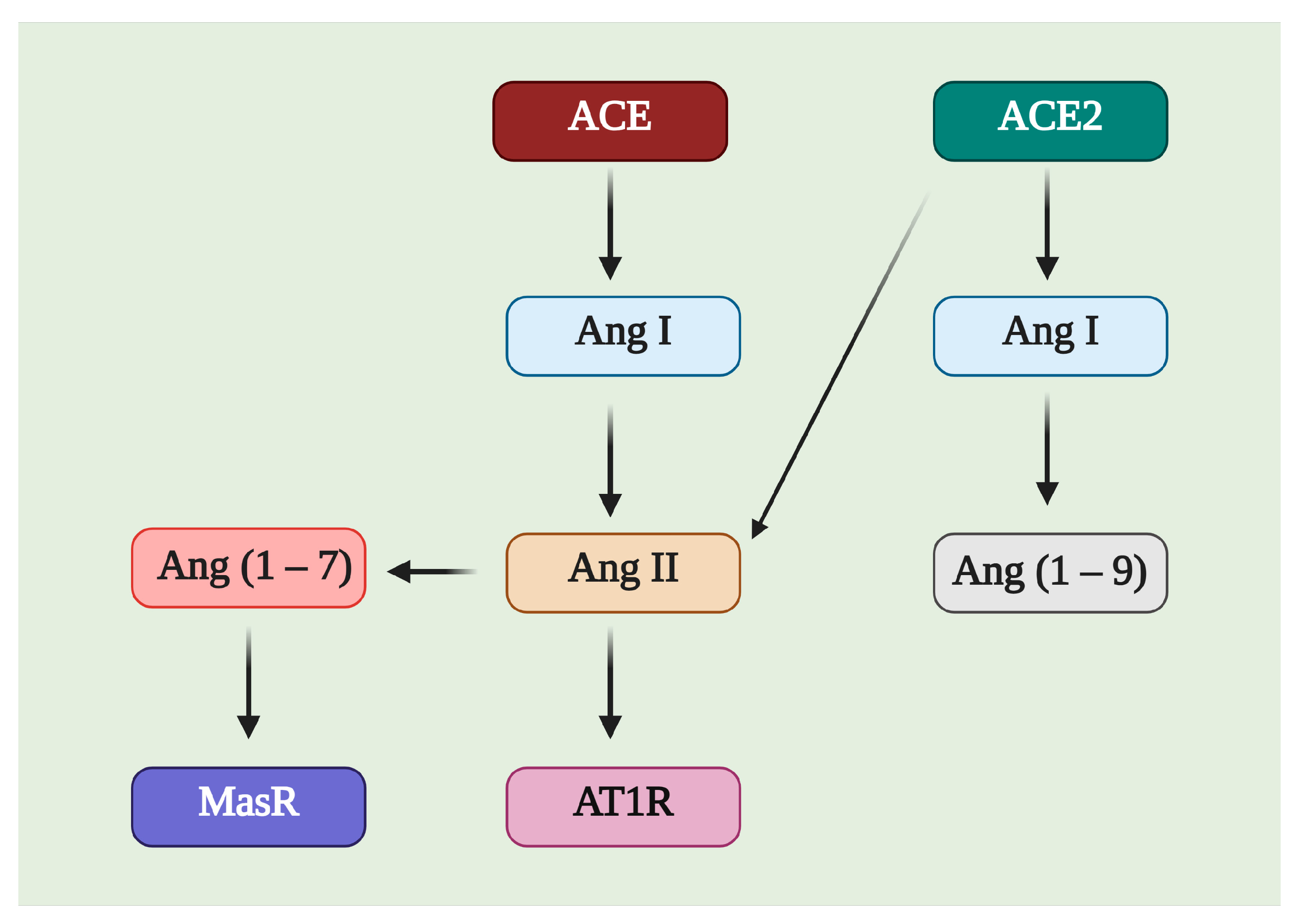 Pharmaceuticals 14 00805 g003