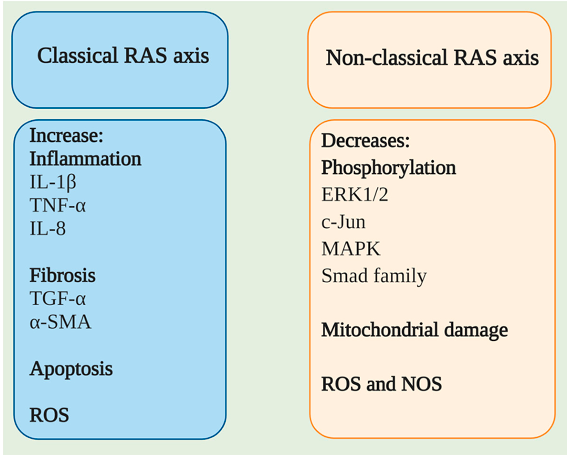 Pharmaceuticals 14 00805 g005