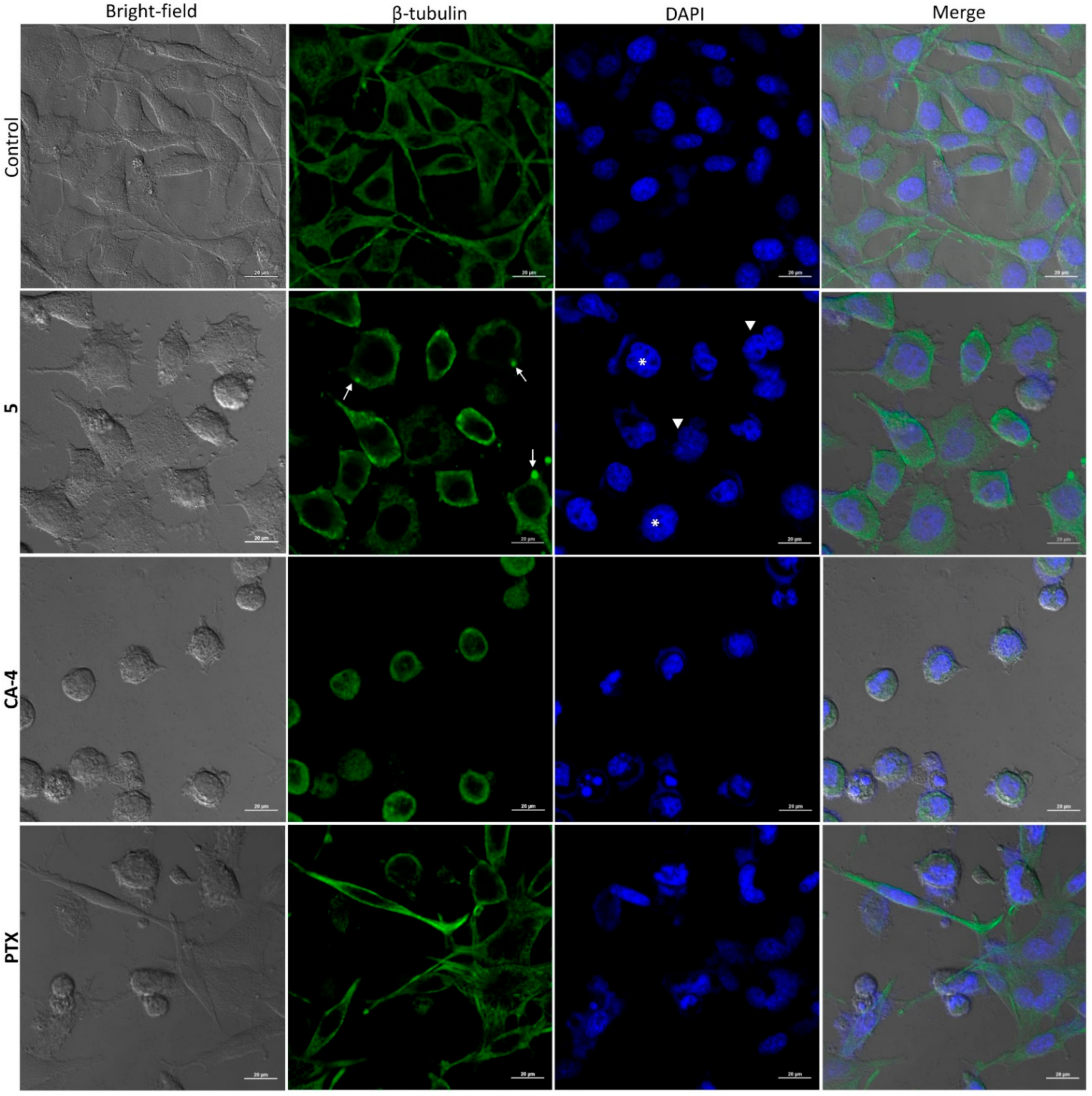Pharmaceuticals 14 00815 g004