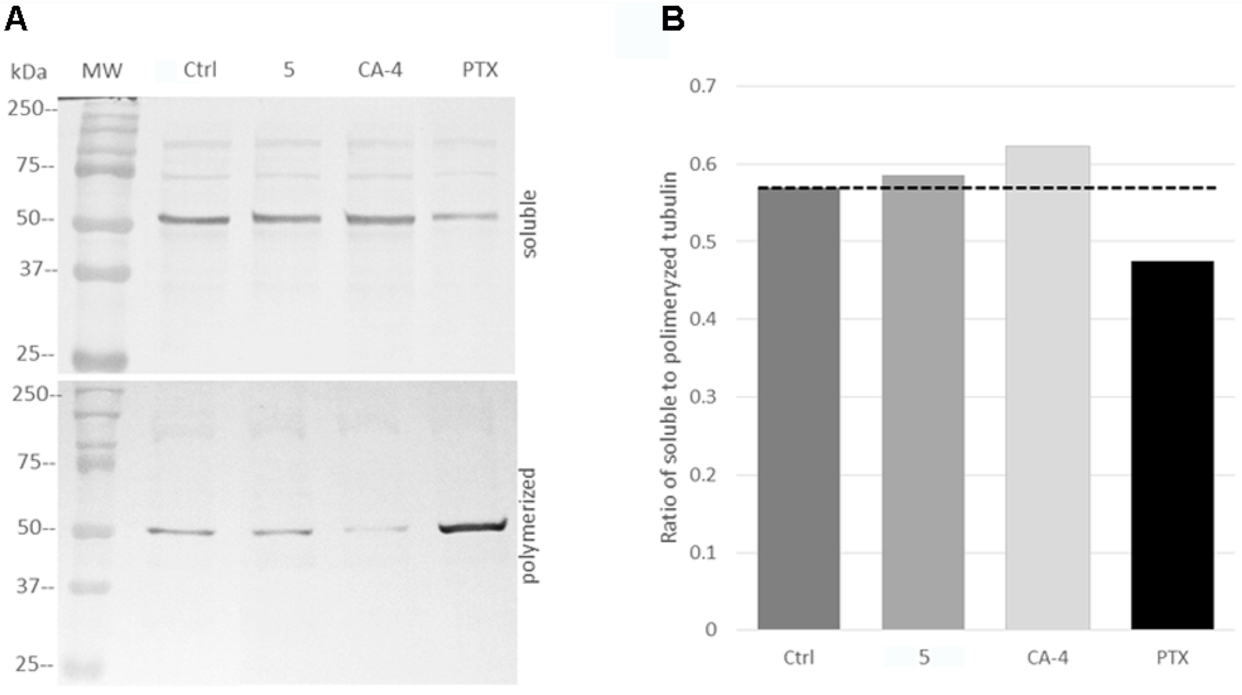 Pharmaceuticals 14 00815 g006