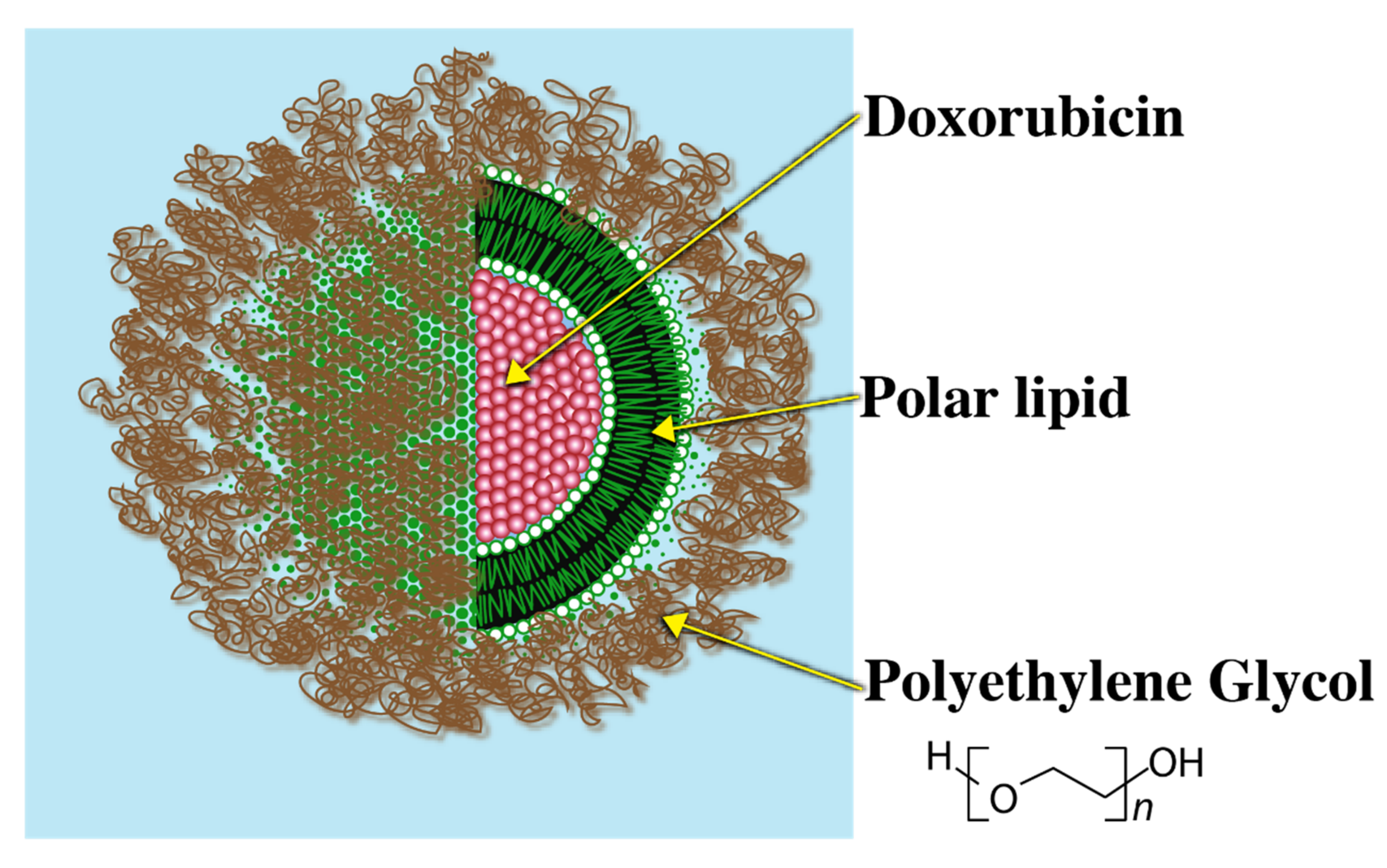 Pharmaceuticals 14 00835 g004 Pharmaceuticals 14 00835 g004