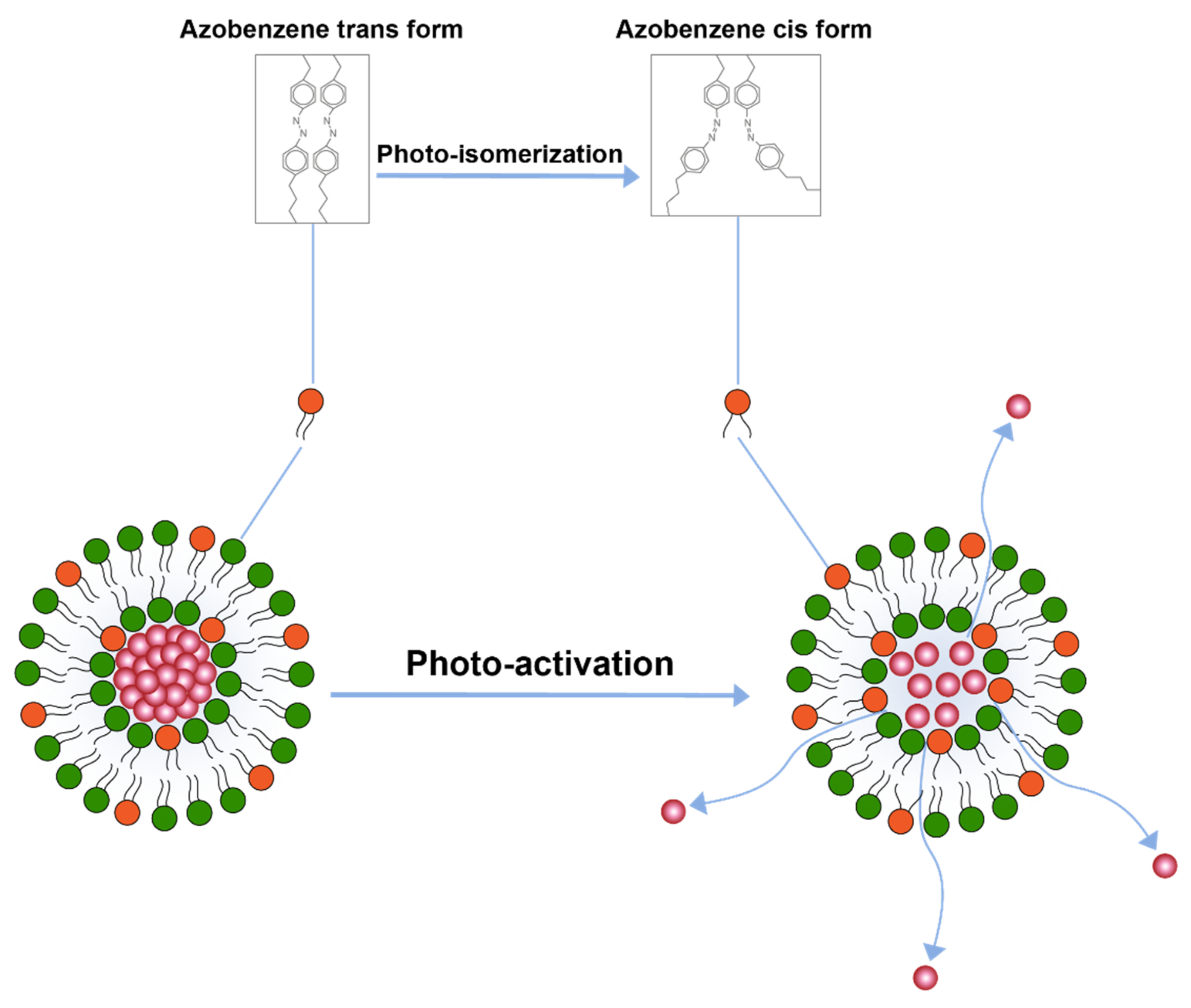 Pharmaceuticals 14 00835 g005 Pharmaceuticals 14 00835 g005