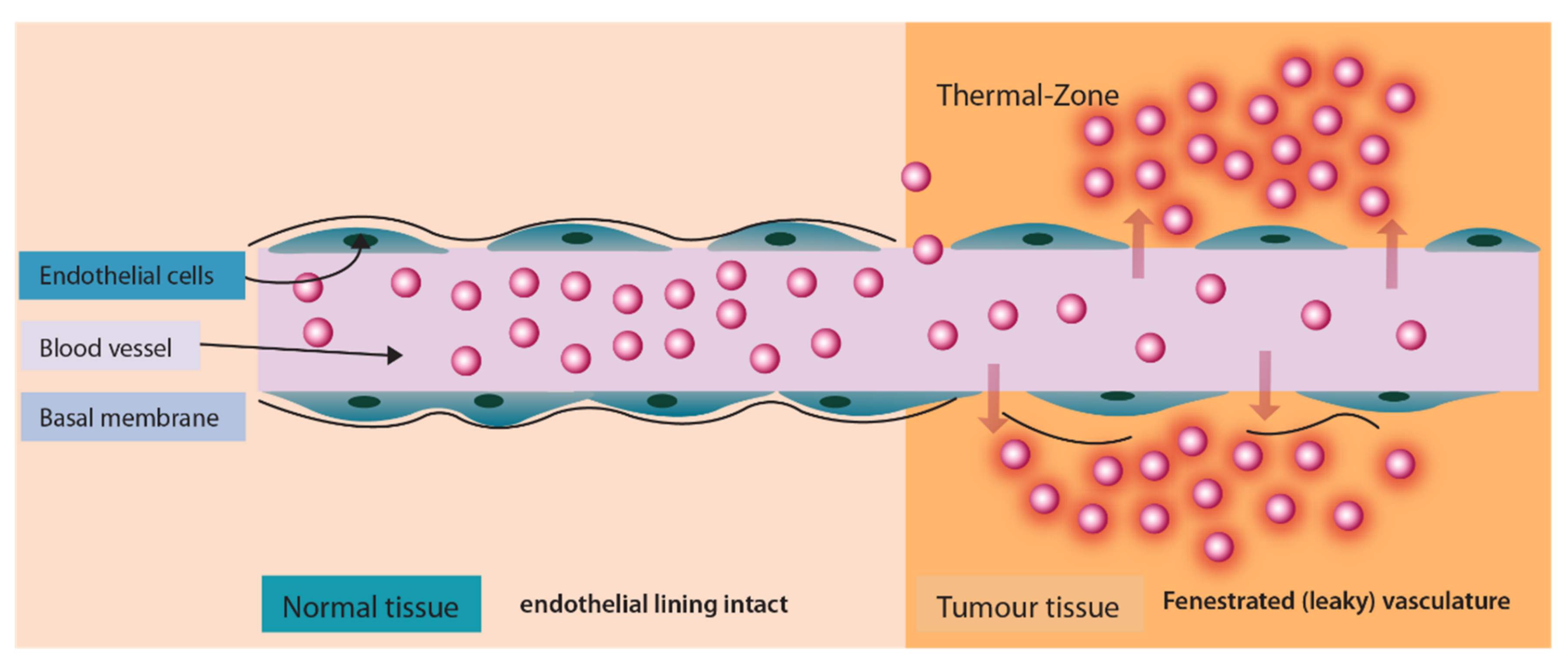 Pharmaceuticals 14 00835 g008 Pharmaceuticals 14 00835 g008