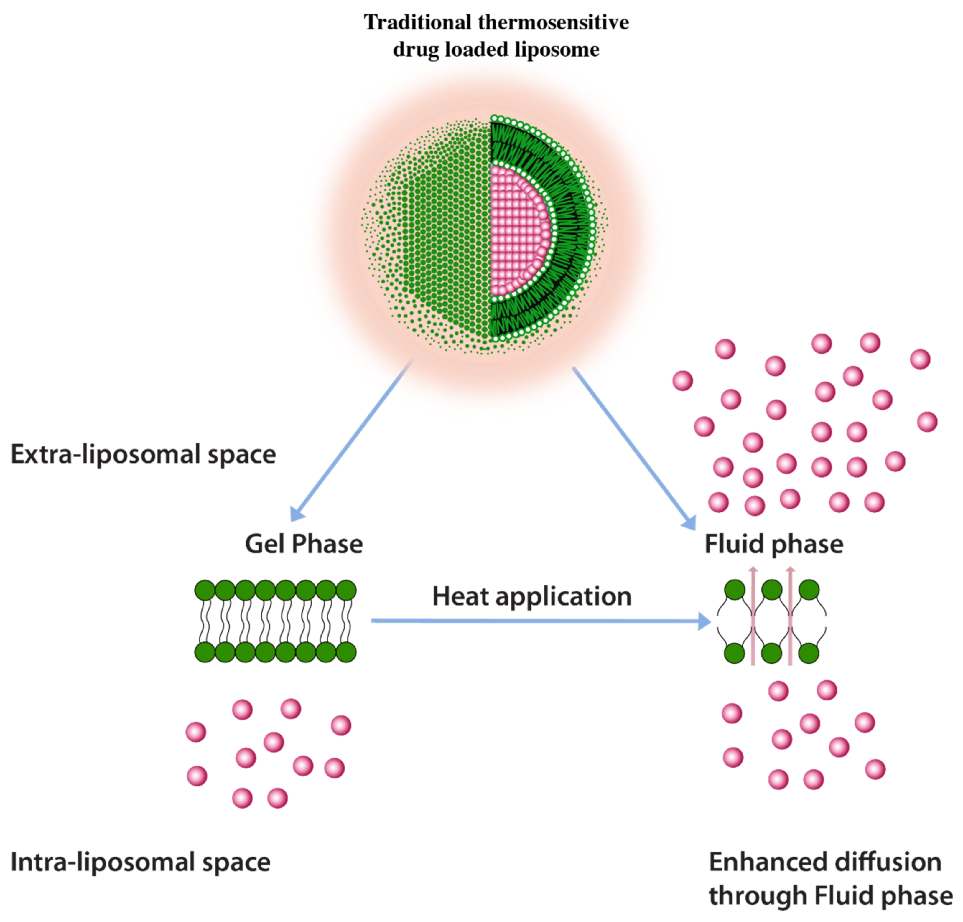 Pharmaceuticals 14 00835 g009 Pharmaceuticals 14 00835 g009