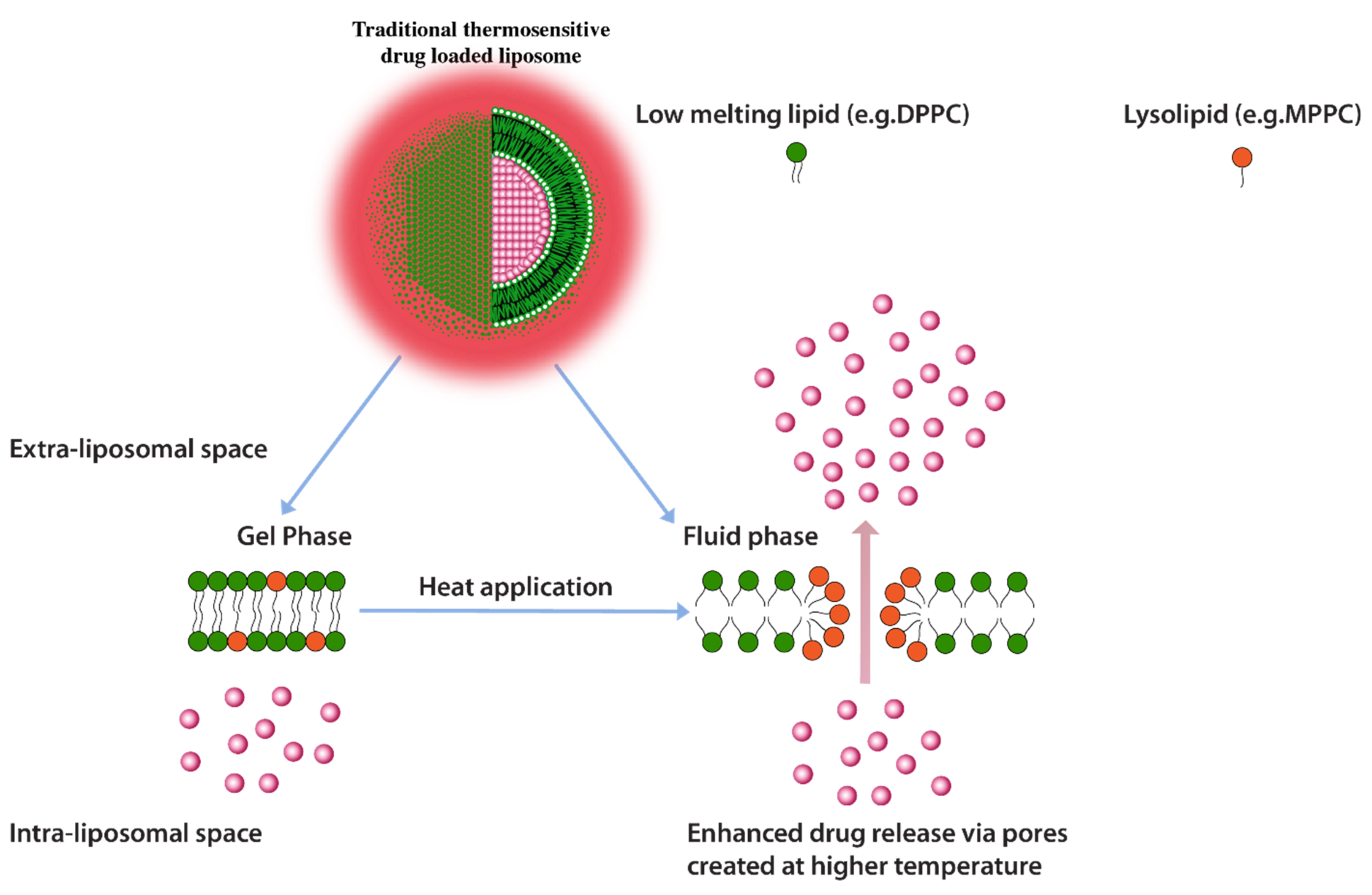 Pharmaceuticals 14 00835 g010 Pharmaceuticals 14 00835 g010