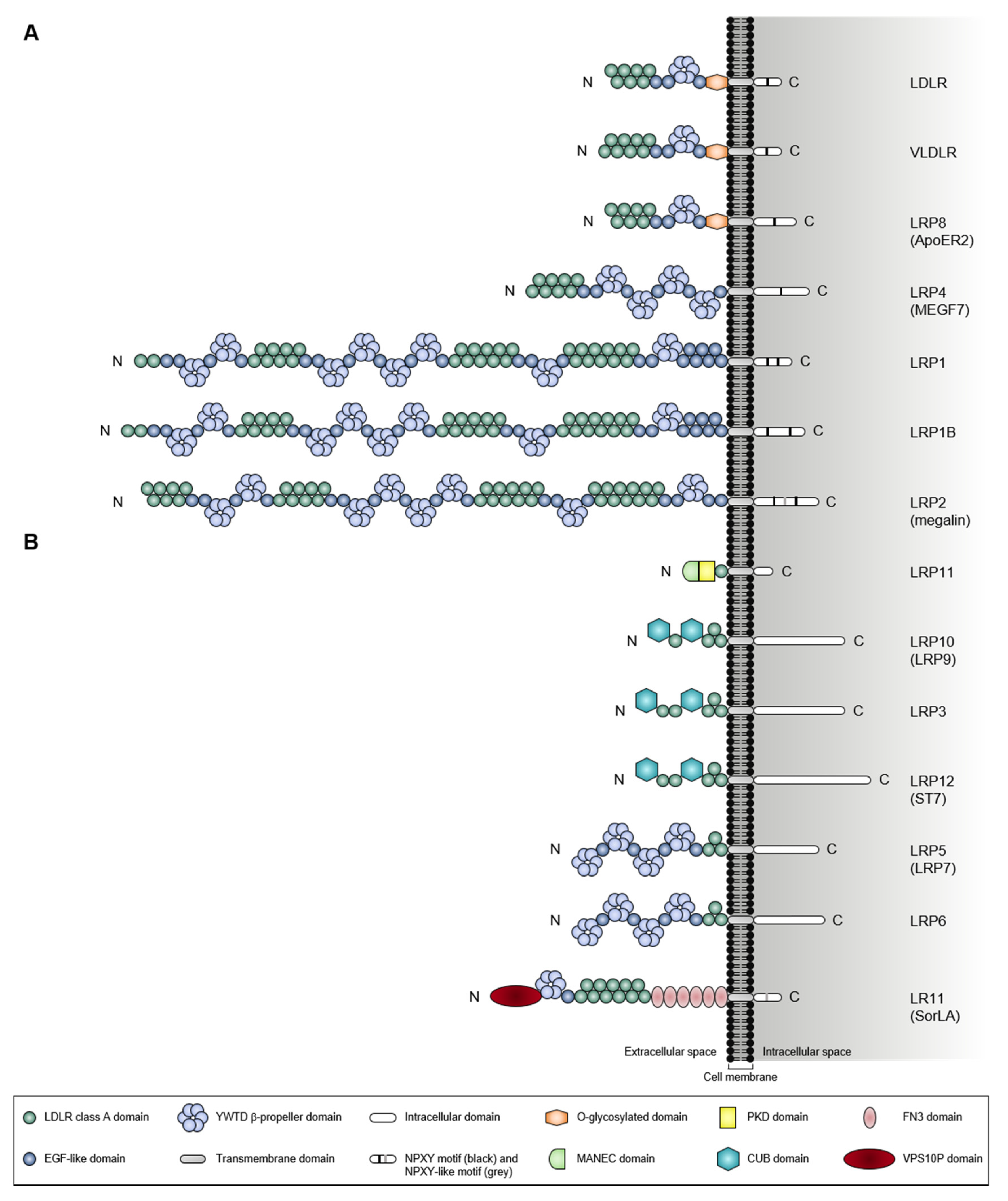 Pharmaceuticals 14 00836 g001