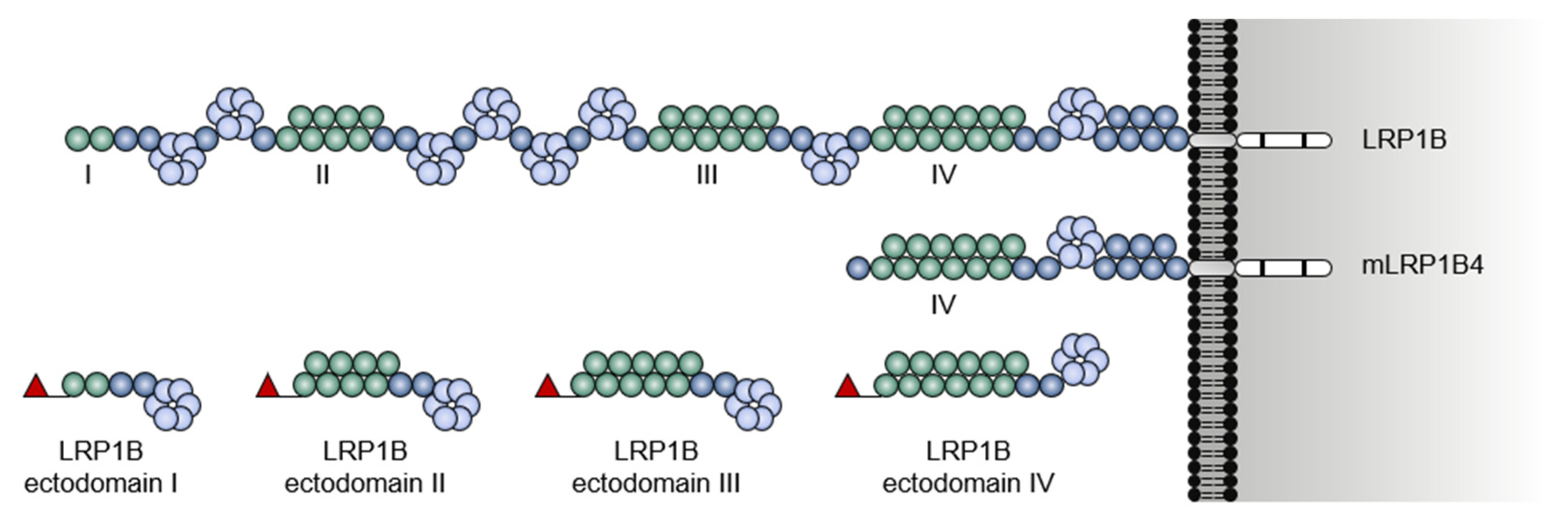 Pharmaceuticals 14 00836 g004