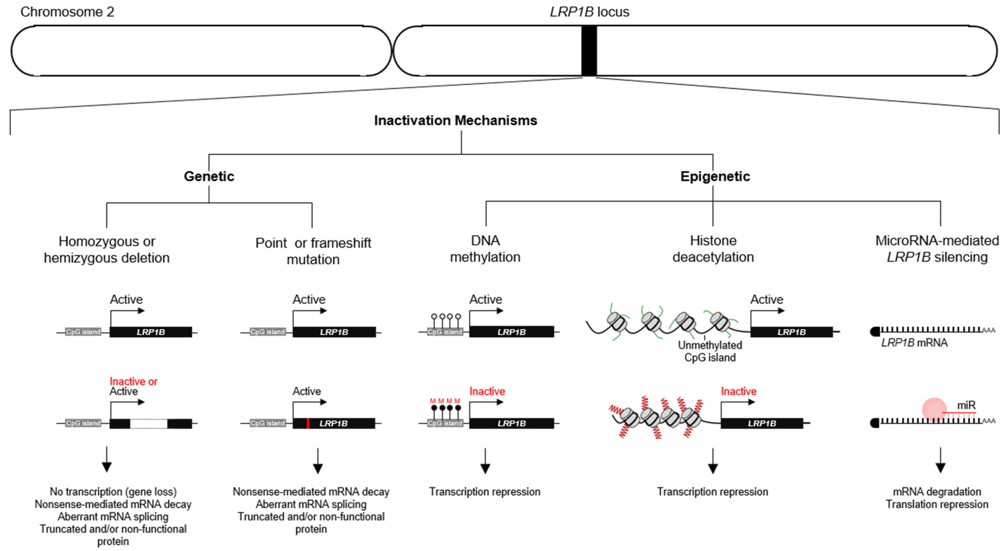 Pharmaceuticals 14 00836 g008
