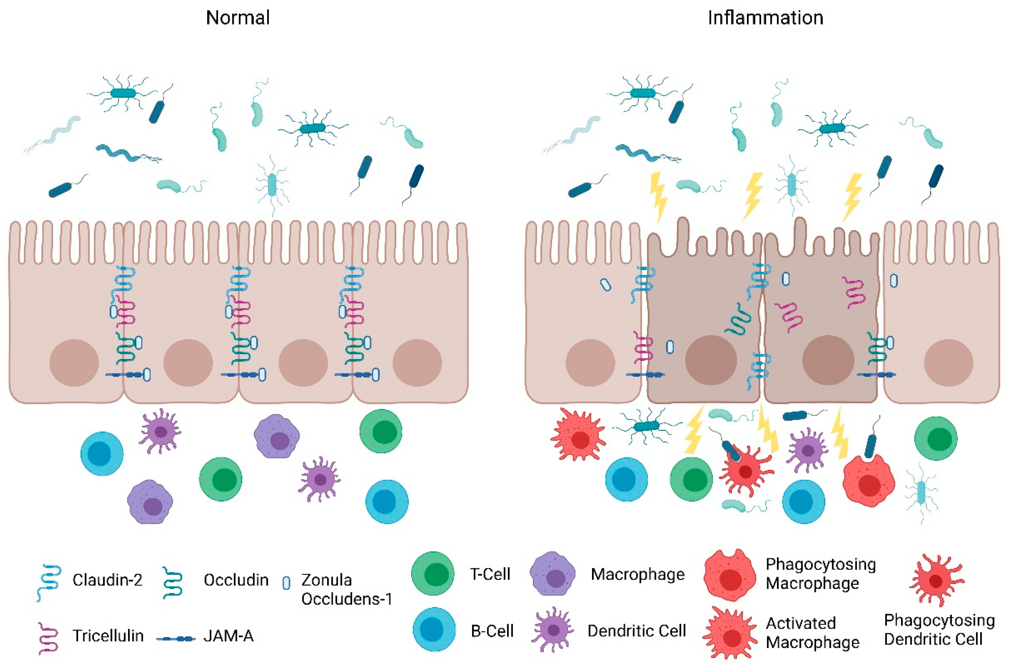 Pharmaceuticals 14 00840 g001