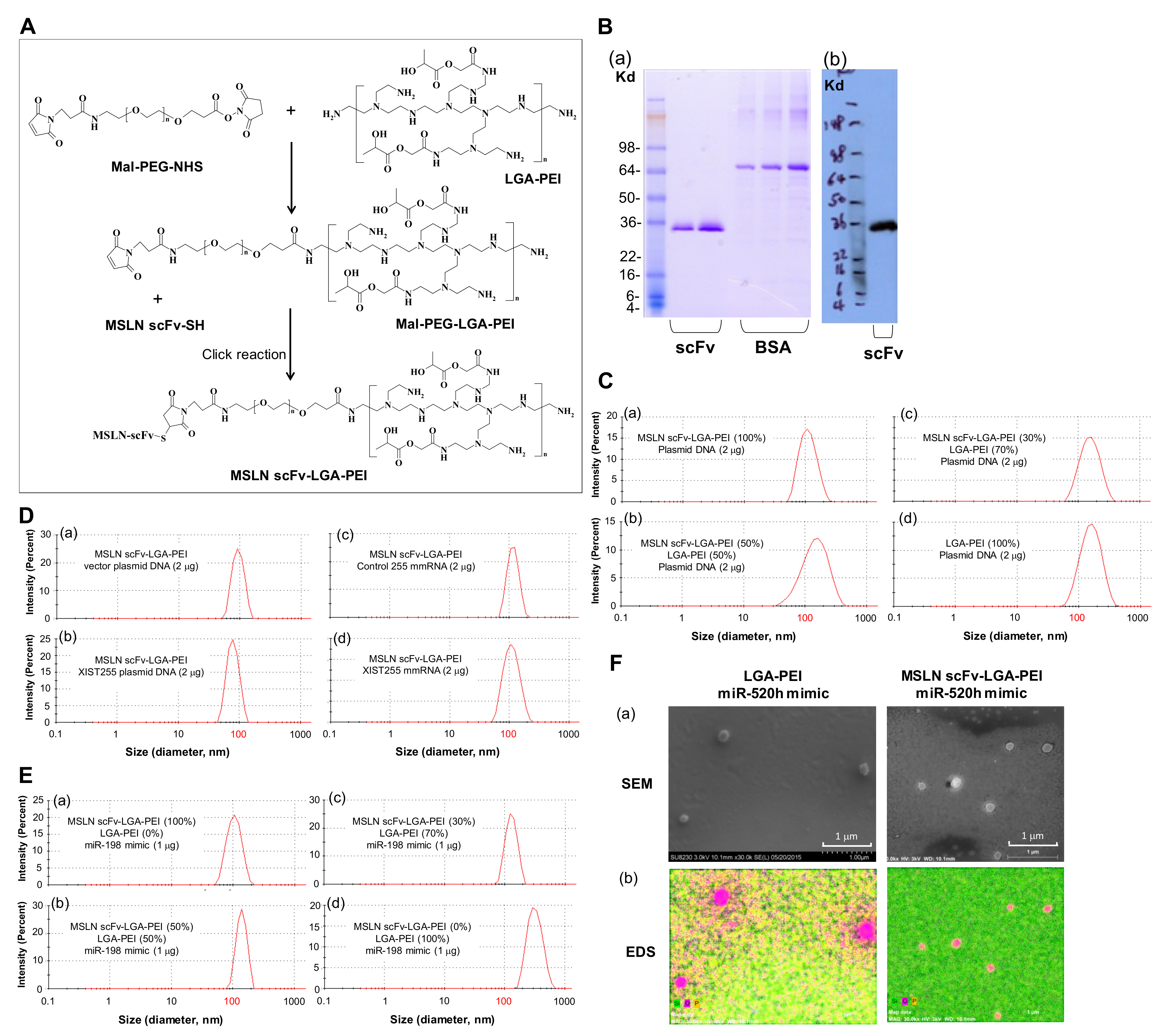 Pharmaceuticals 14 00841 g001