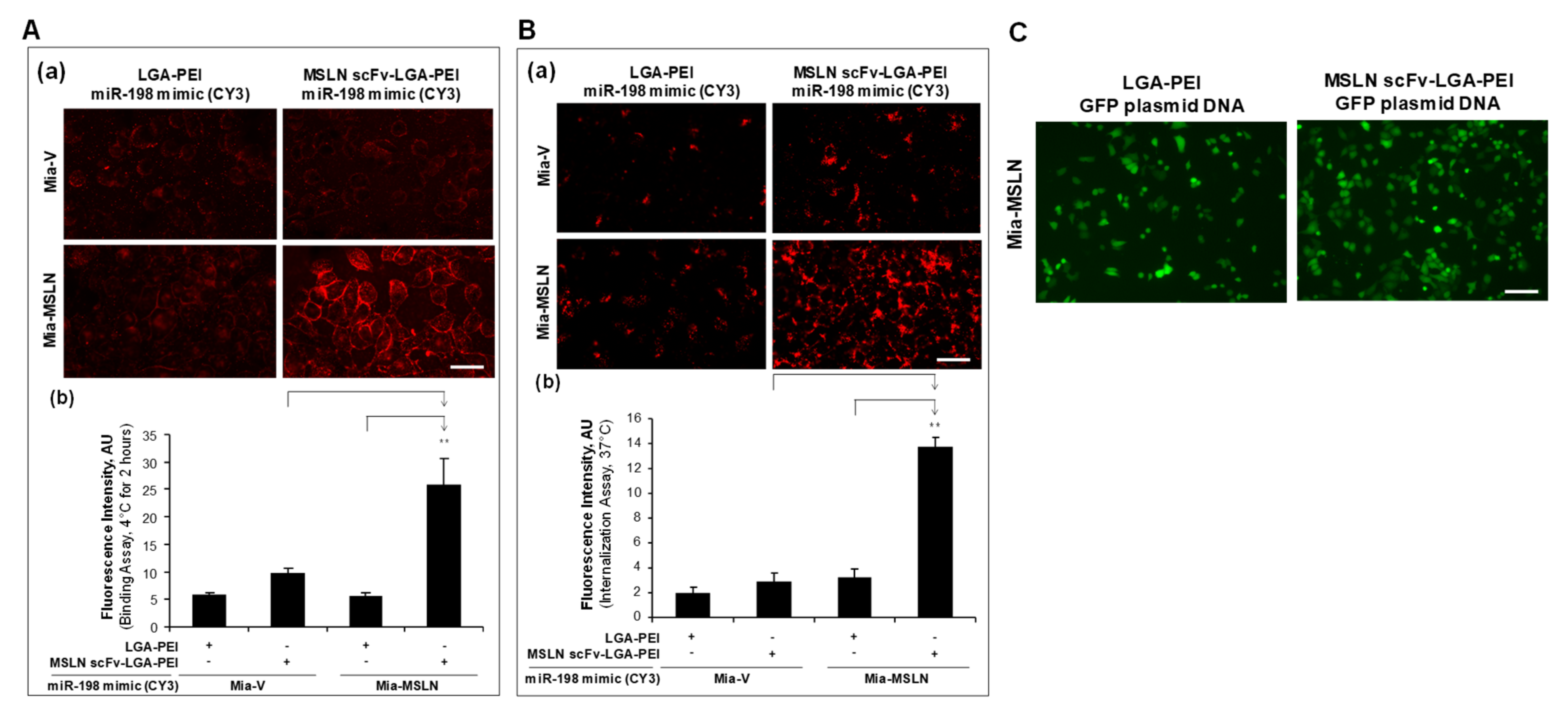 Pharmaceuticals 14 00841 g004
