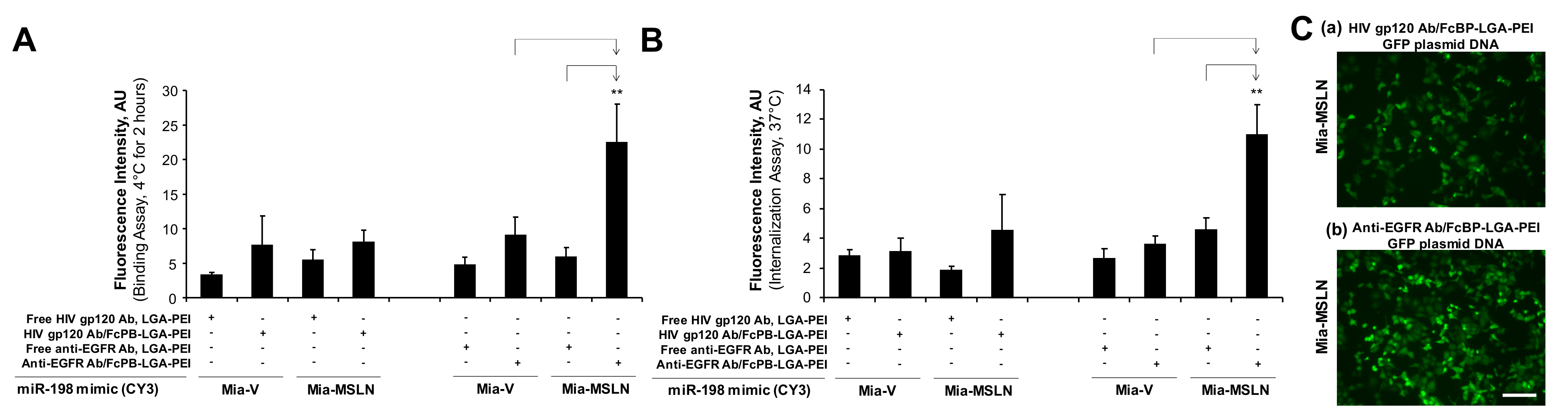 Pharmaceuticals 14 00841 g006