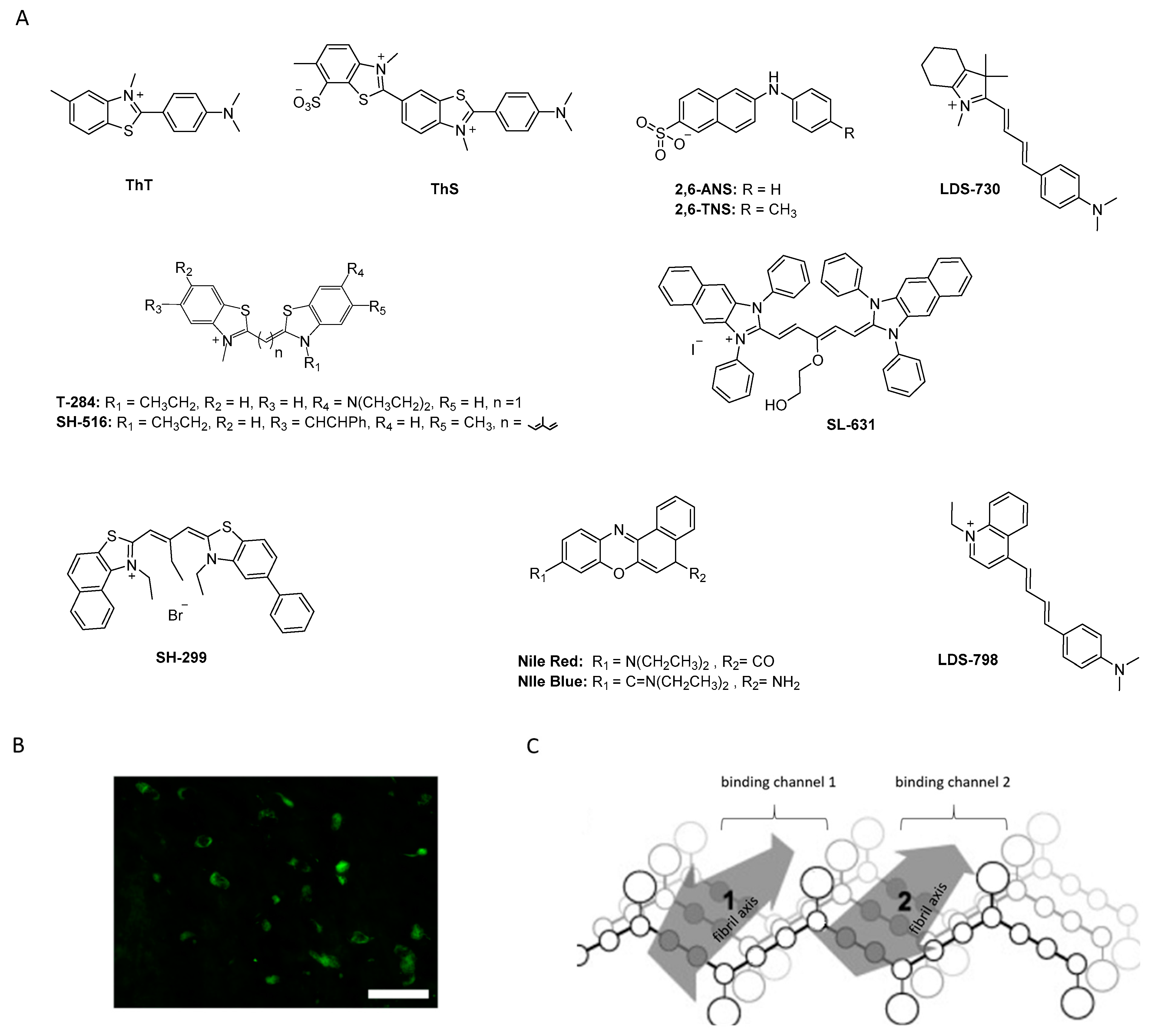 Pharmaceuticals 14 00847 g005 Pharmaceuticals 14 00847 g005
