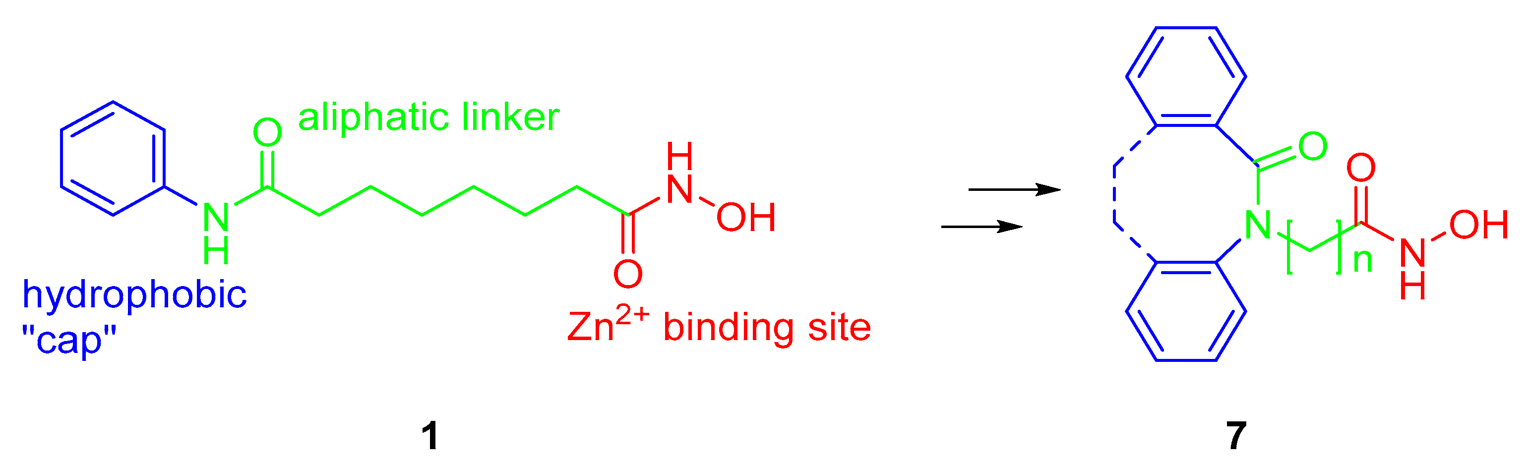 Pharmaceuticals 14 00851 g002