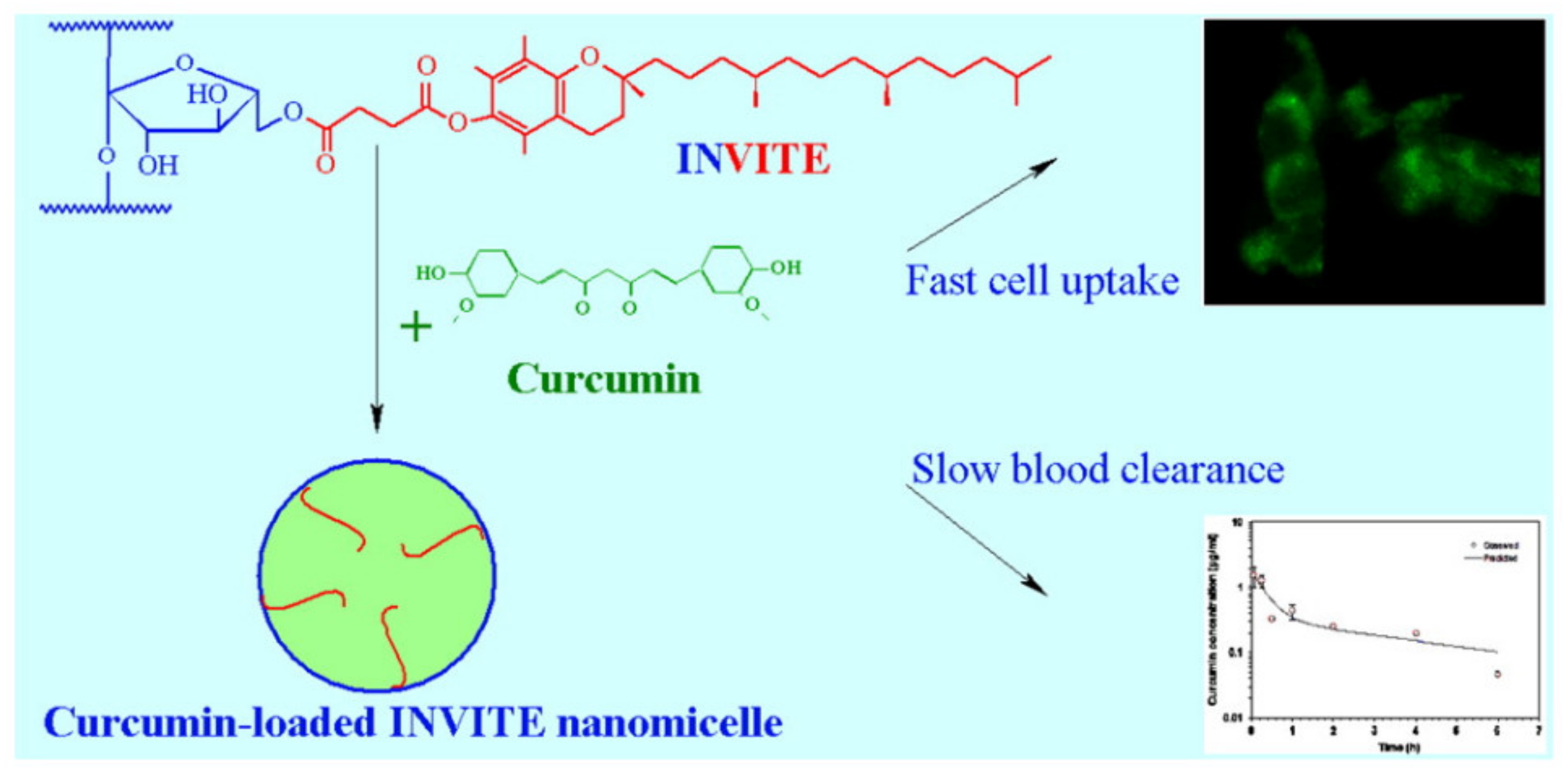 Pharmaceuticals 14 00855 g006 Pharmaceuticals 14 00855 g006