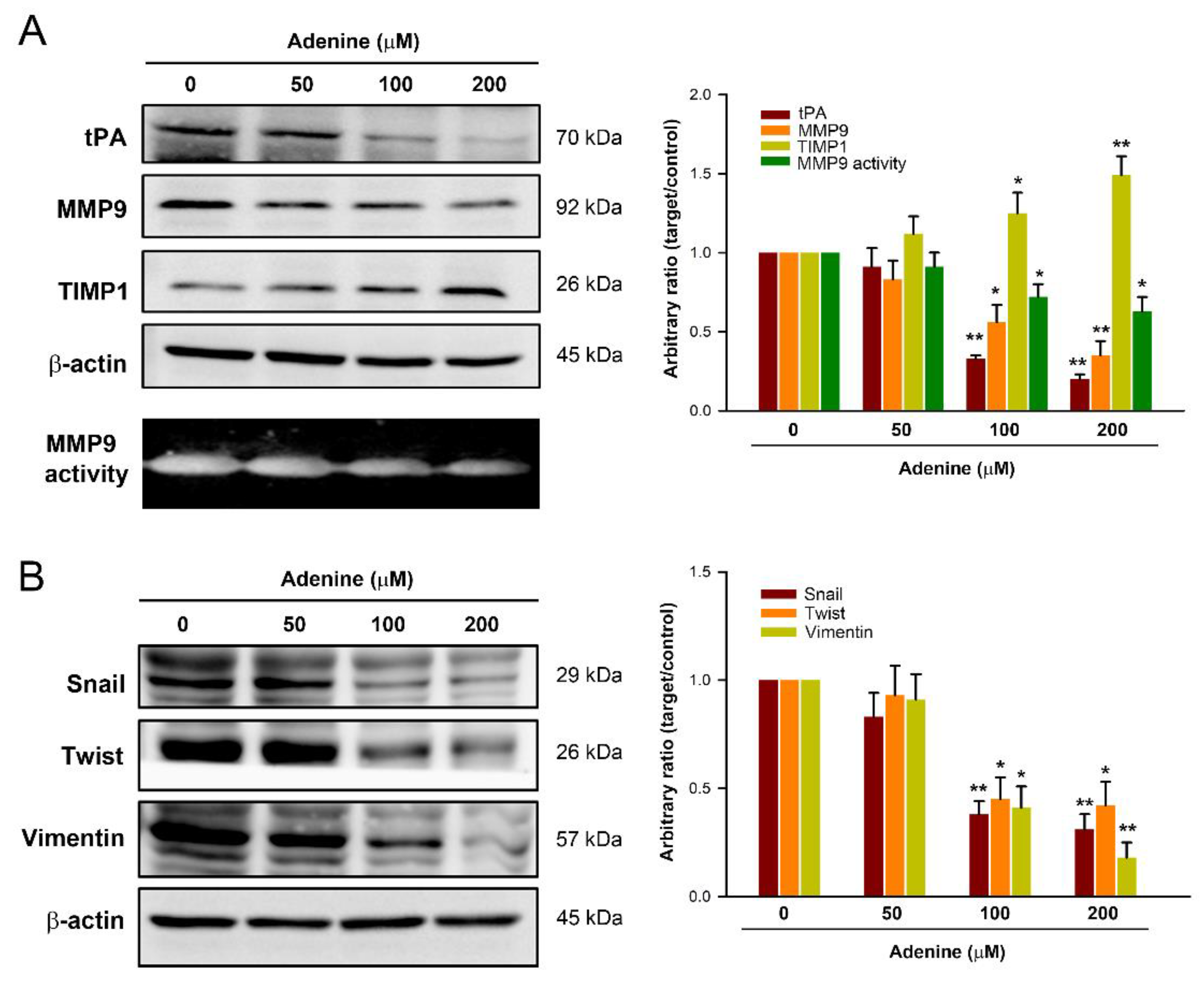 Pharmaceuticals 14 00860 g003