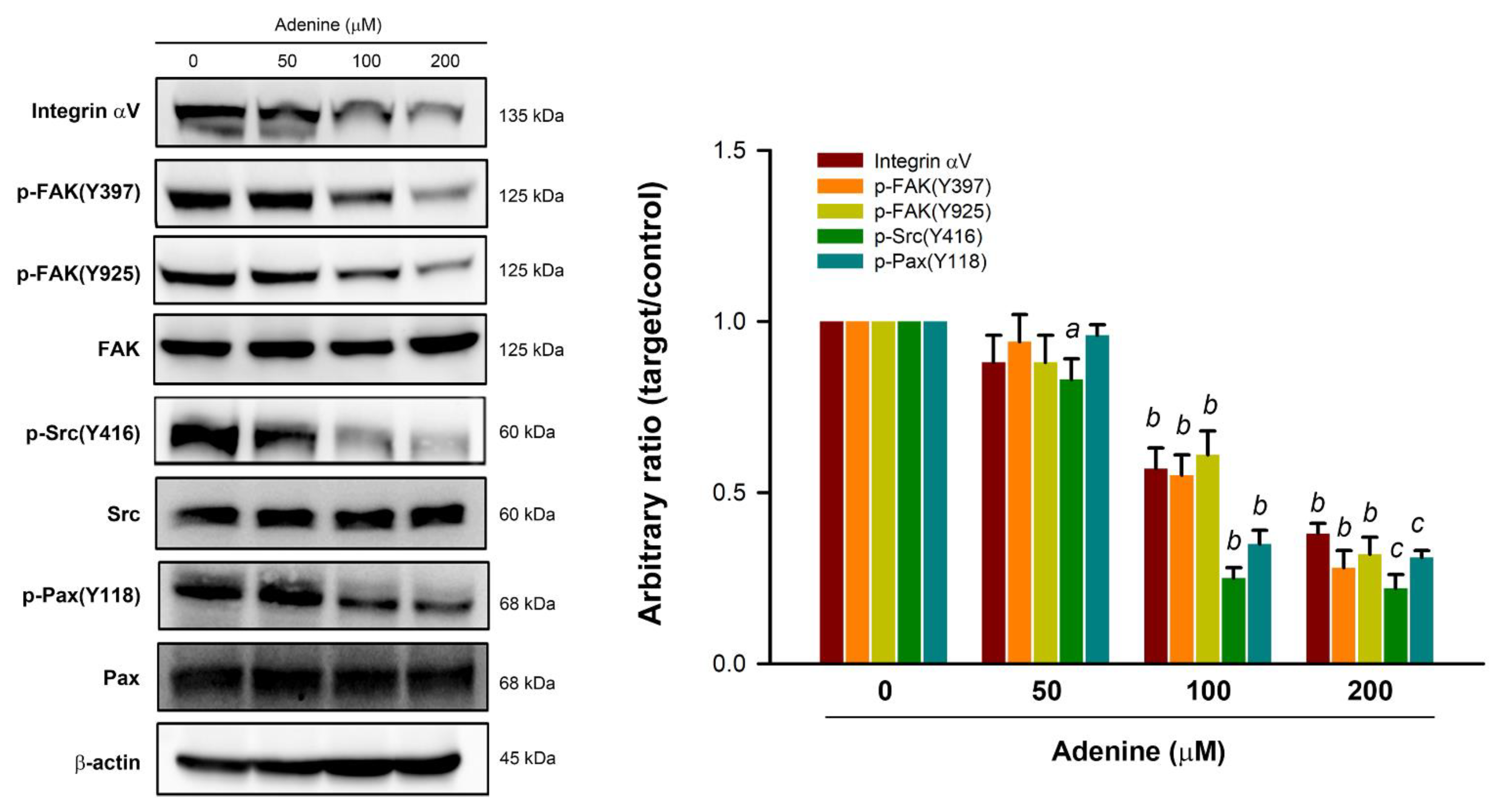 Pharmaceuticals 14 00860 g004