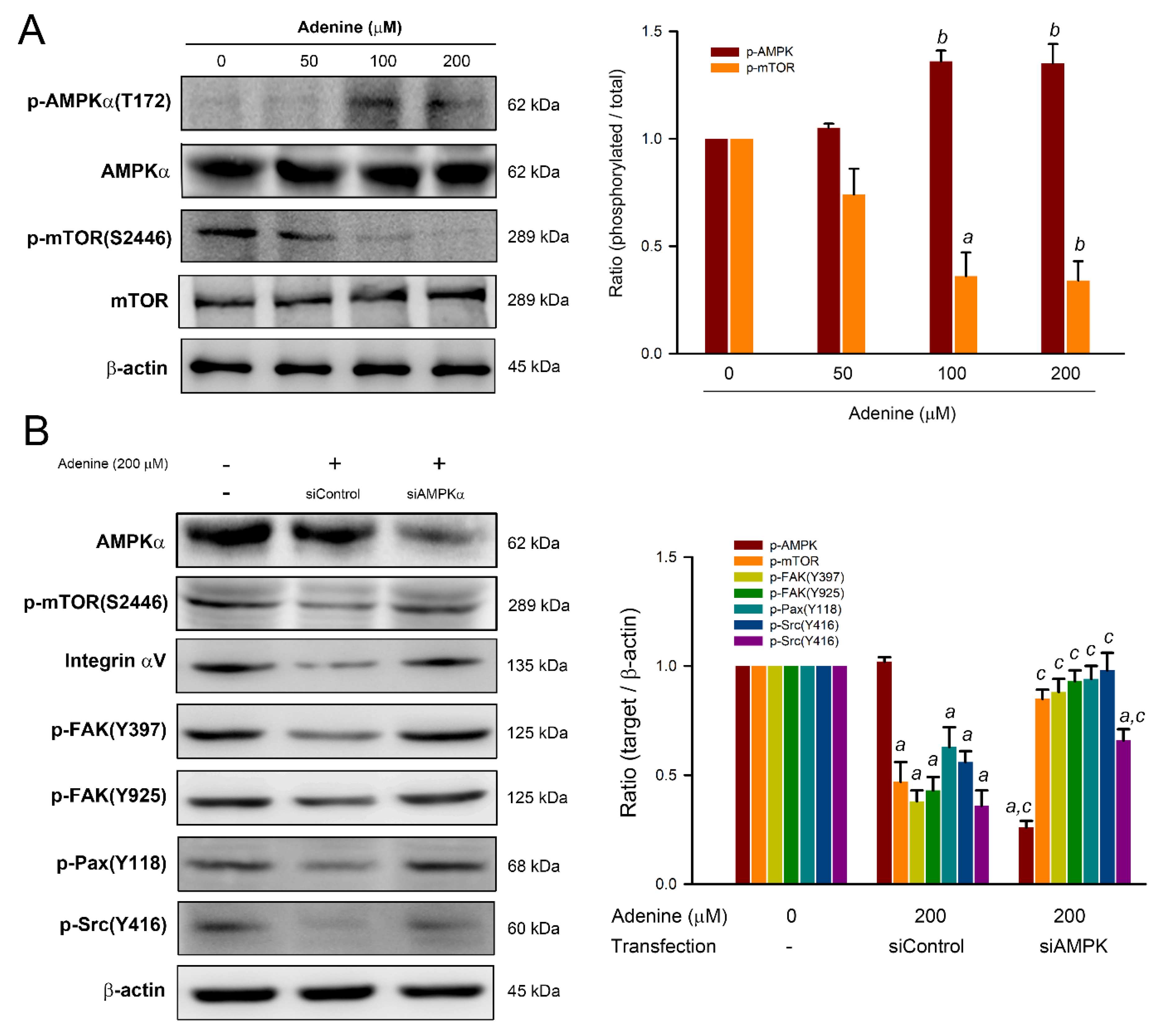 Pharmaceuticals 14 00860 g005