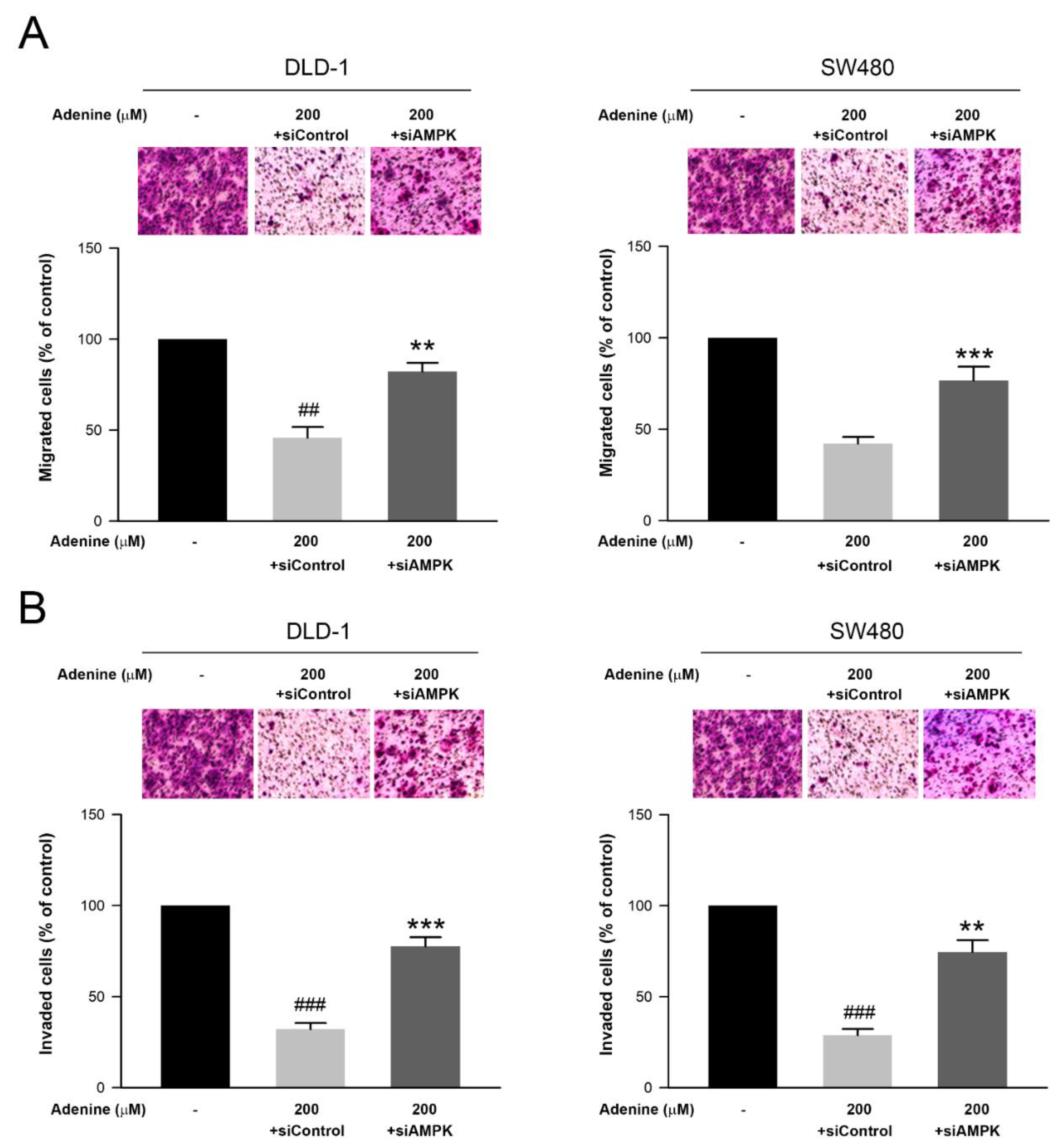Pharmaceuticals 14 00860 g006