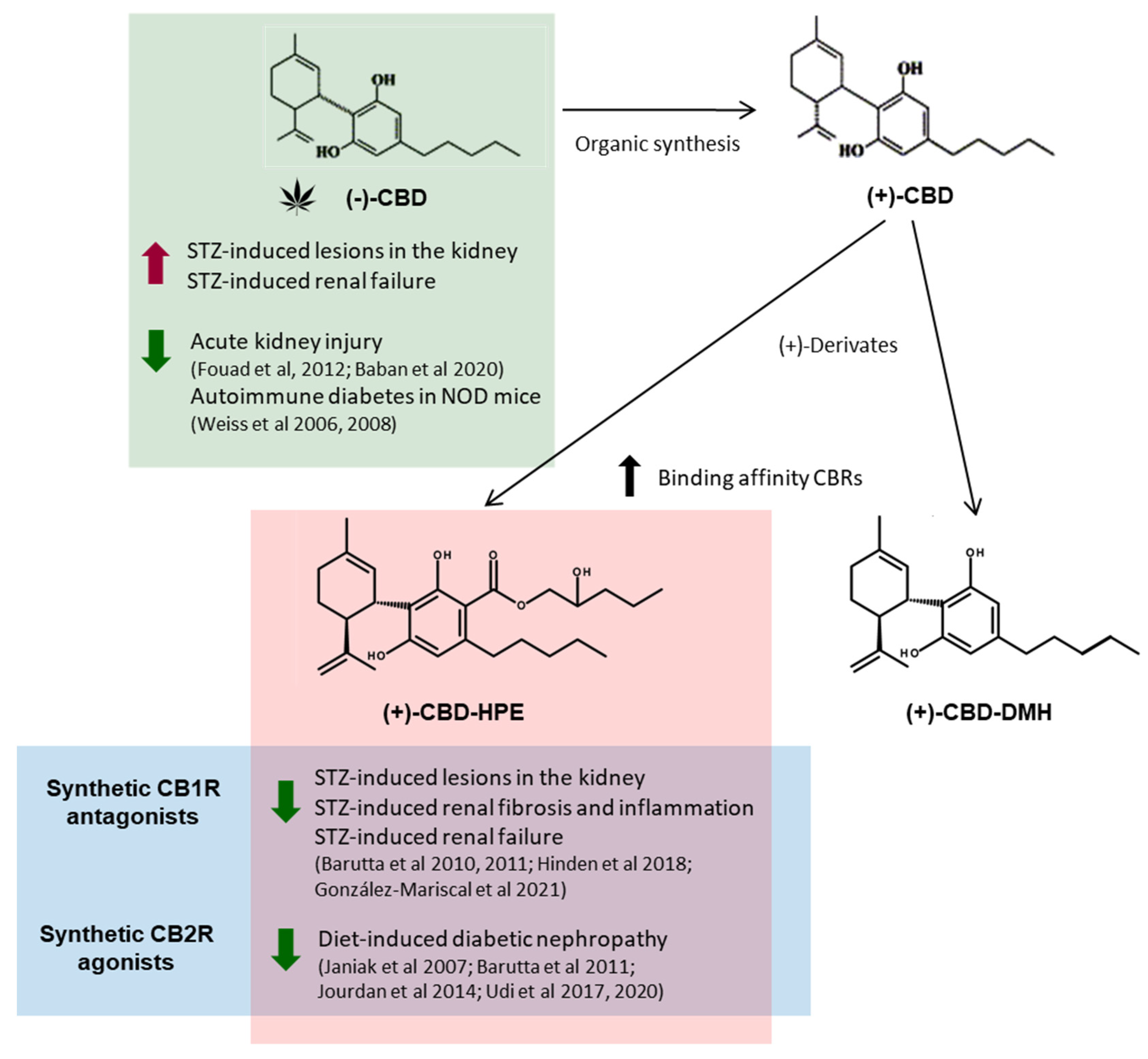 Pharmaceuticals 14 00863 g008