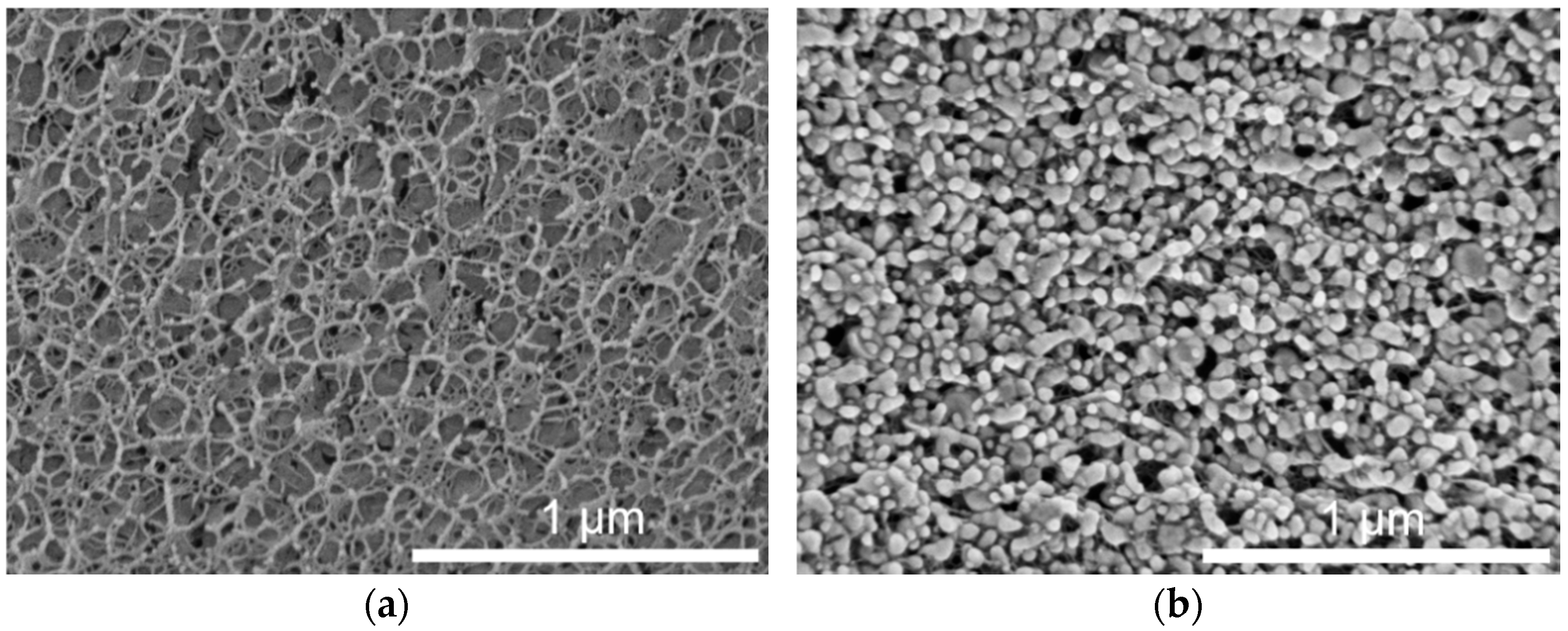 Pharmaceuticals 14 00865 g004