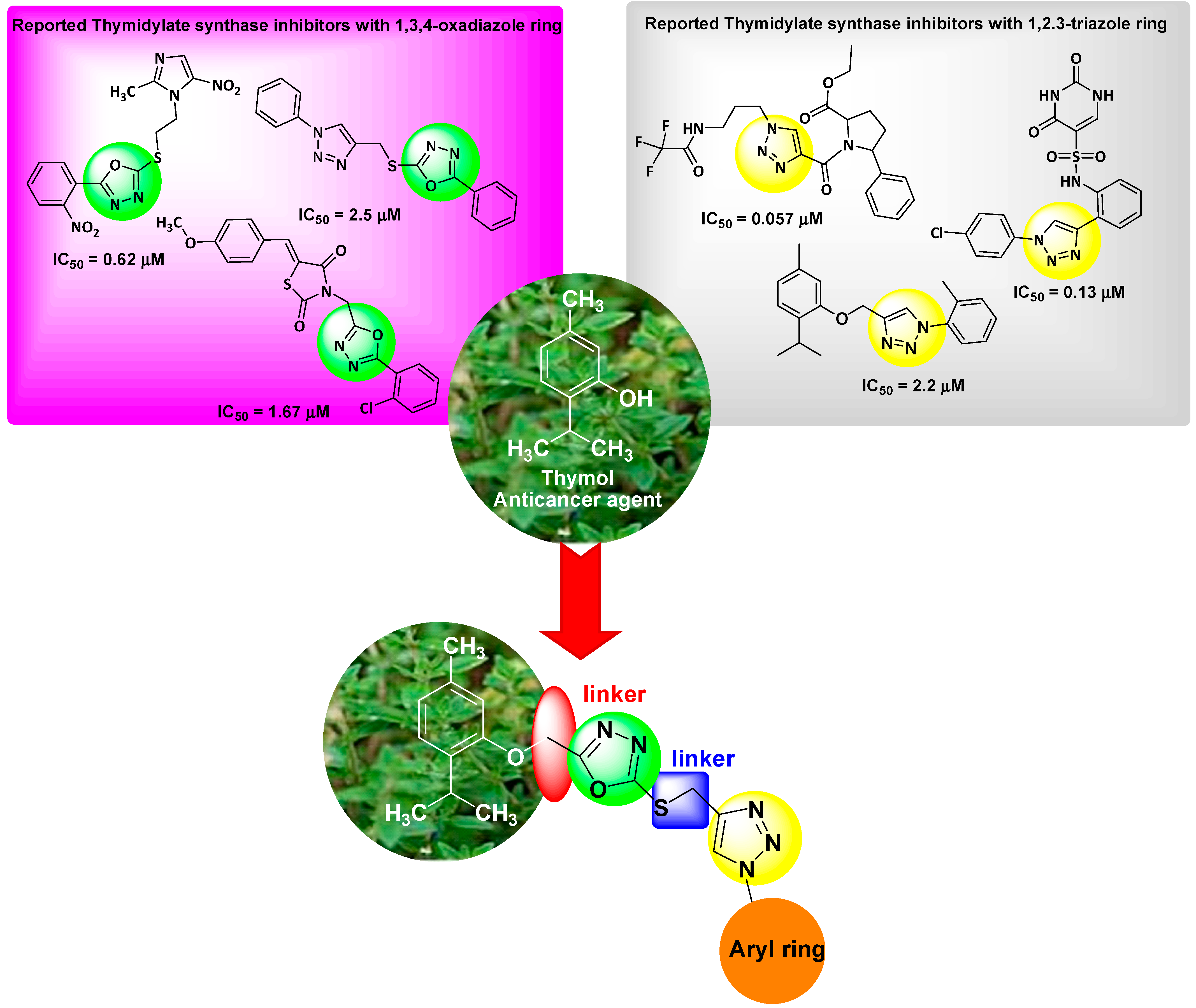 Pharmaceuticals 14 00866 g001