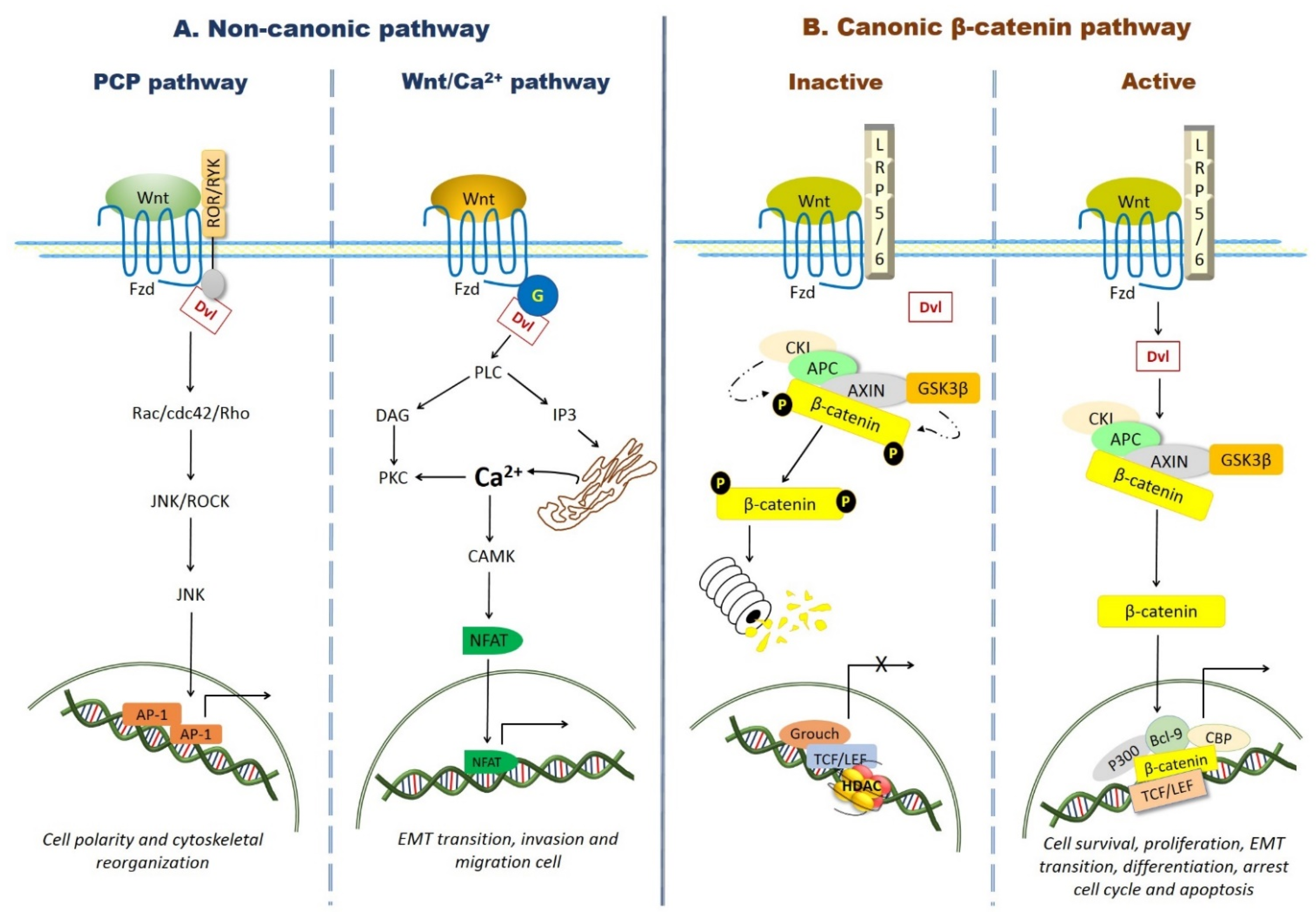 Pharmaceuticals 14 00871 g001