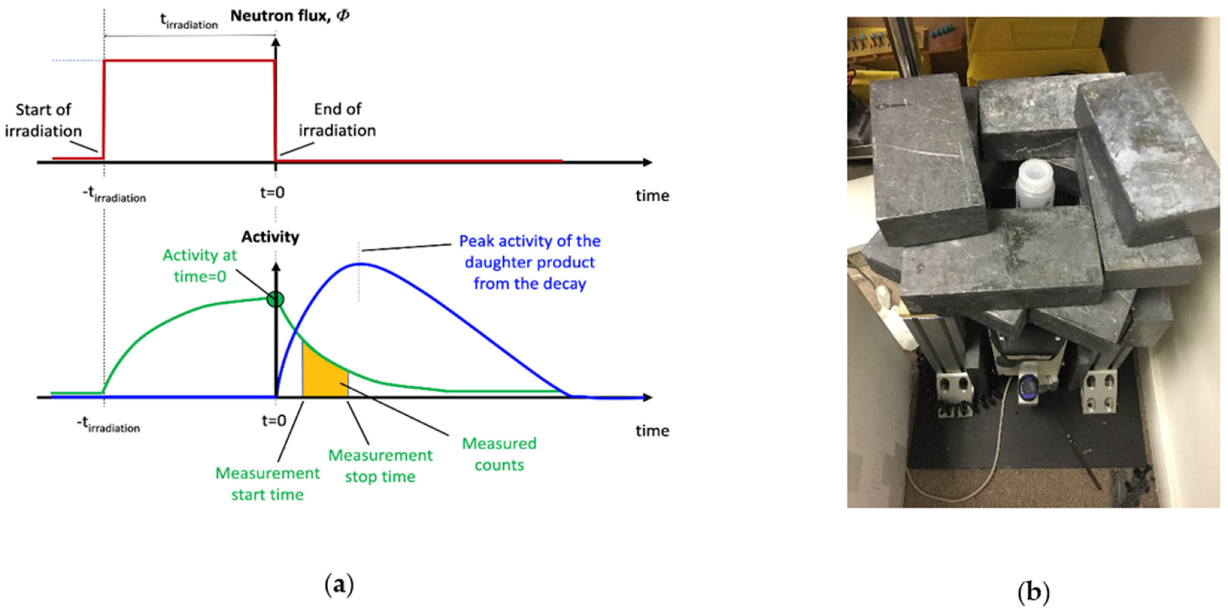 Pharmaceuticals 14 00875 g001