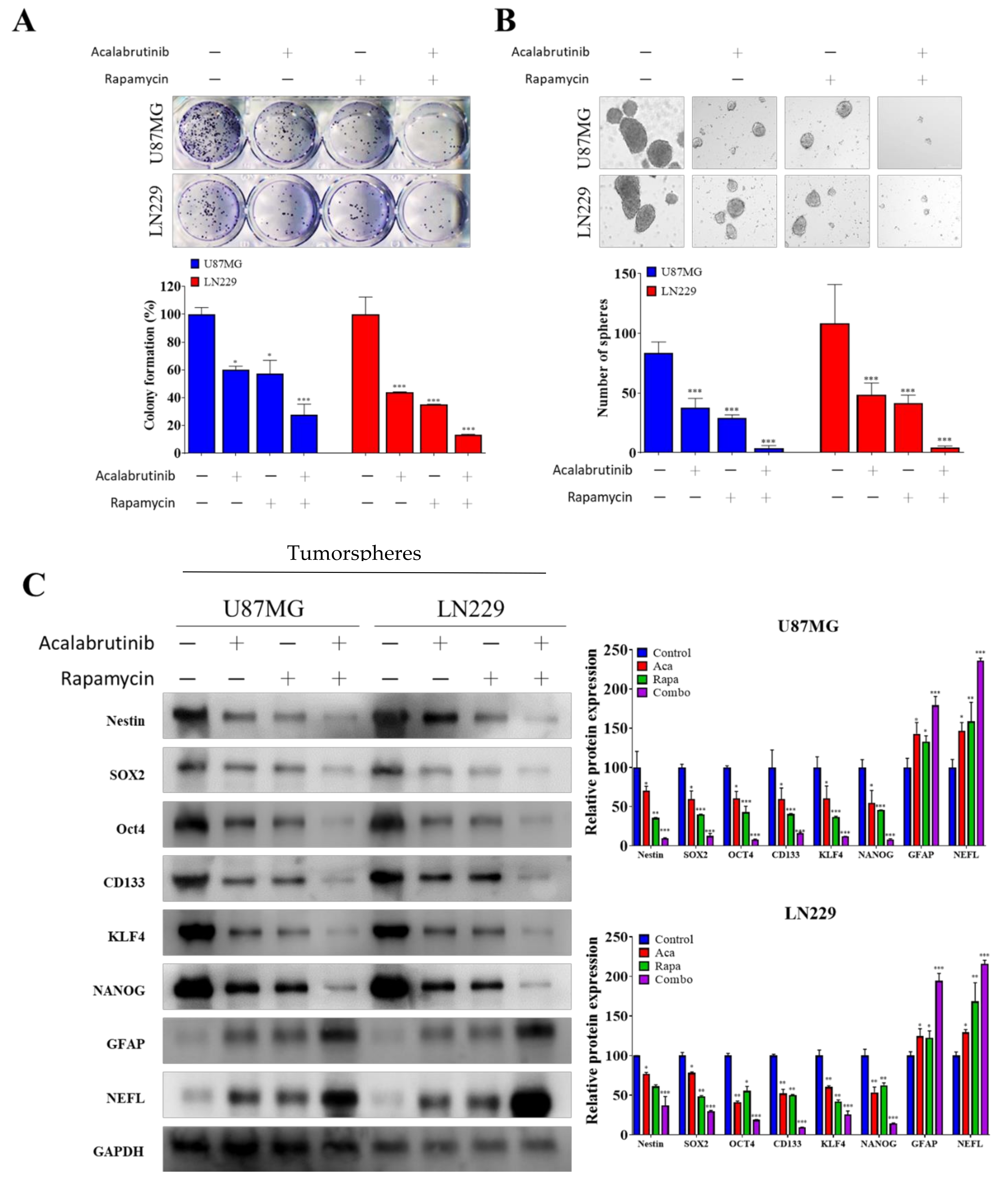 Pharmaceuticals 14 00876 g002 Pharmaceuticals 14 00876 g002