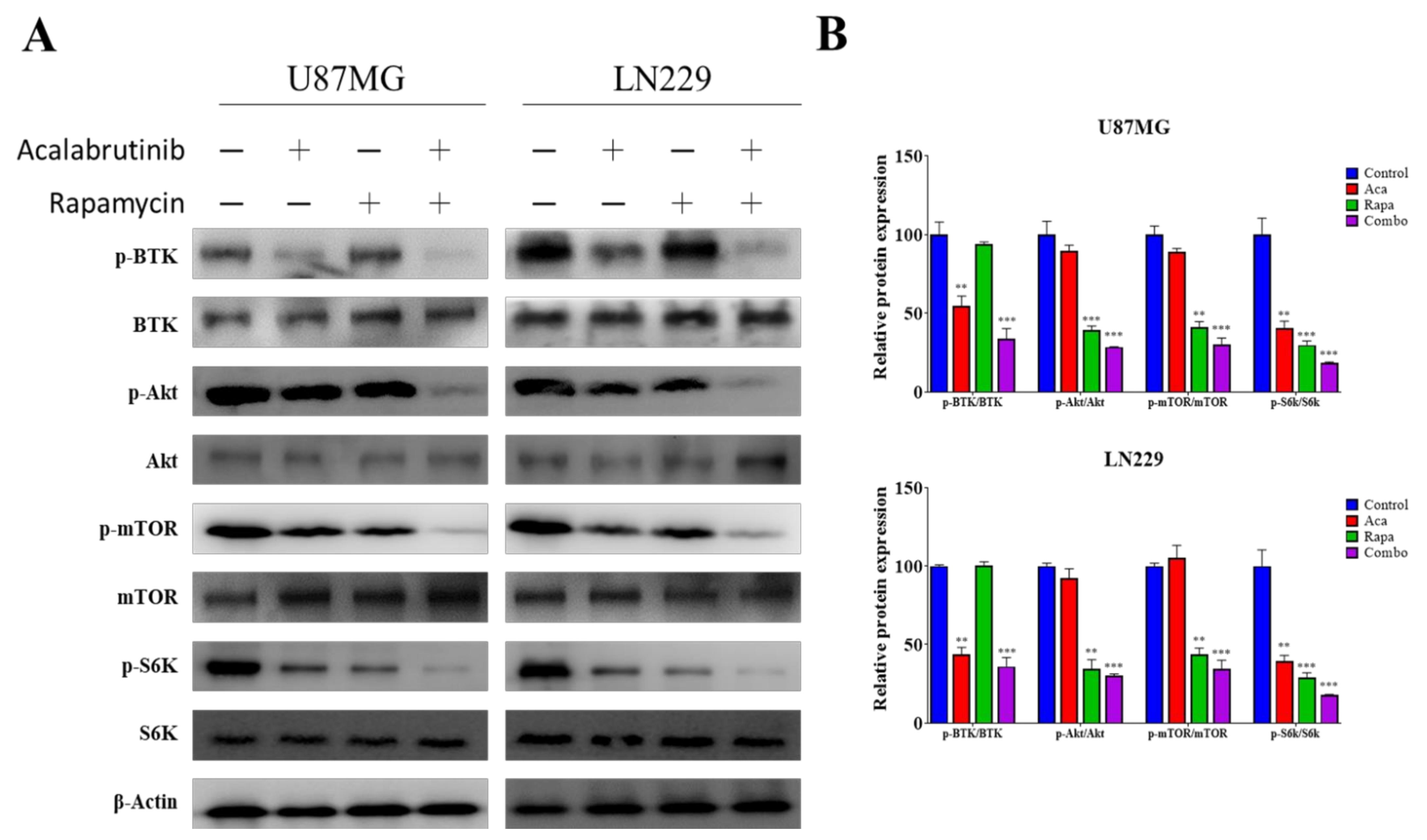 Pharmaceuticals 14 00876 g005 Pharmaceuticals 14 00876 g005