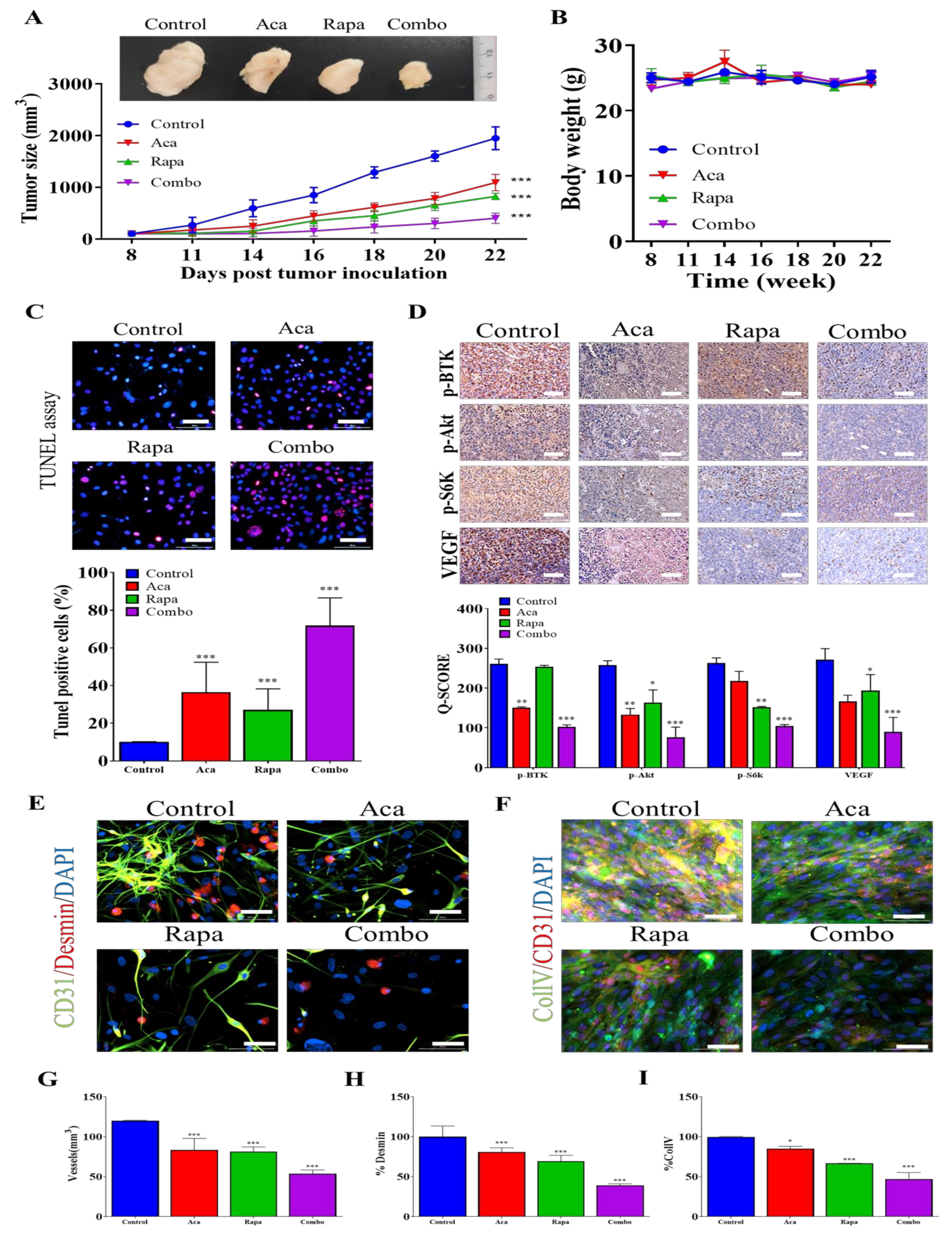 Pharmaceuticals 14 00876 g006 Pharmaceuticals 14 00876 g006