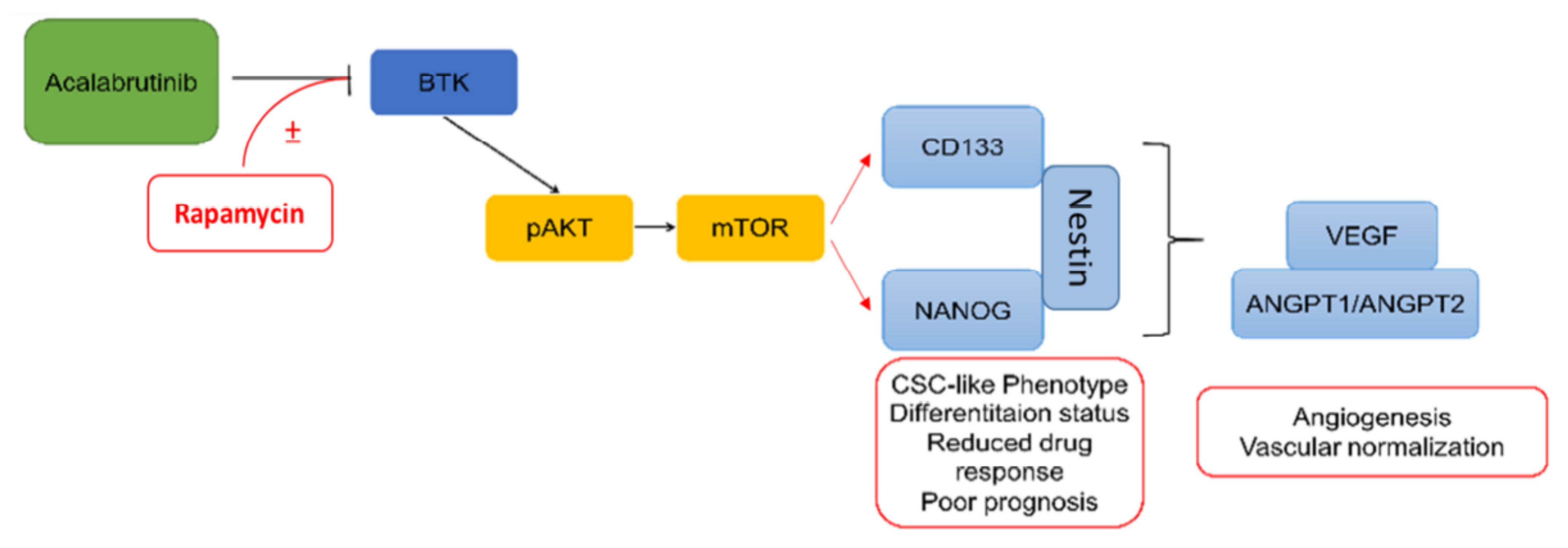 Pharmaceuticals 14 00876 g007 Pharmaceuticals 14 00876 g007
