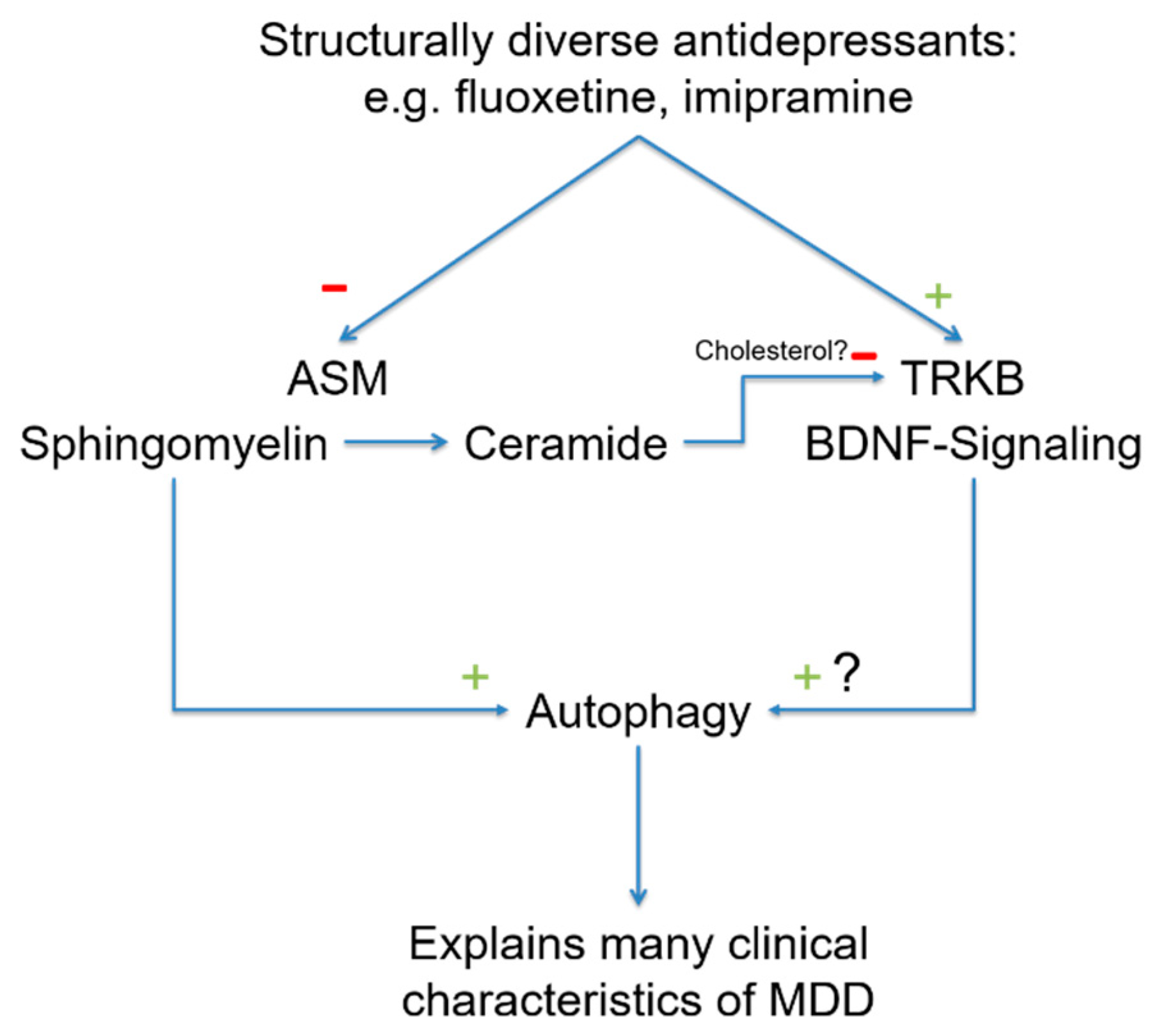 Pharmaceuticals 14 00894 g002