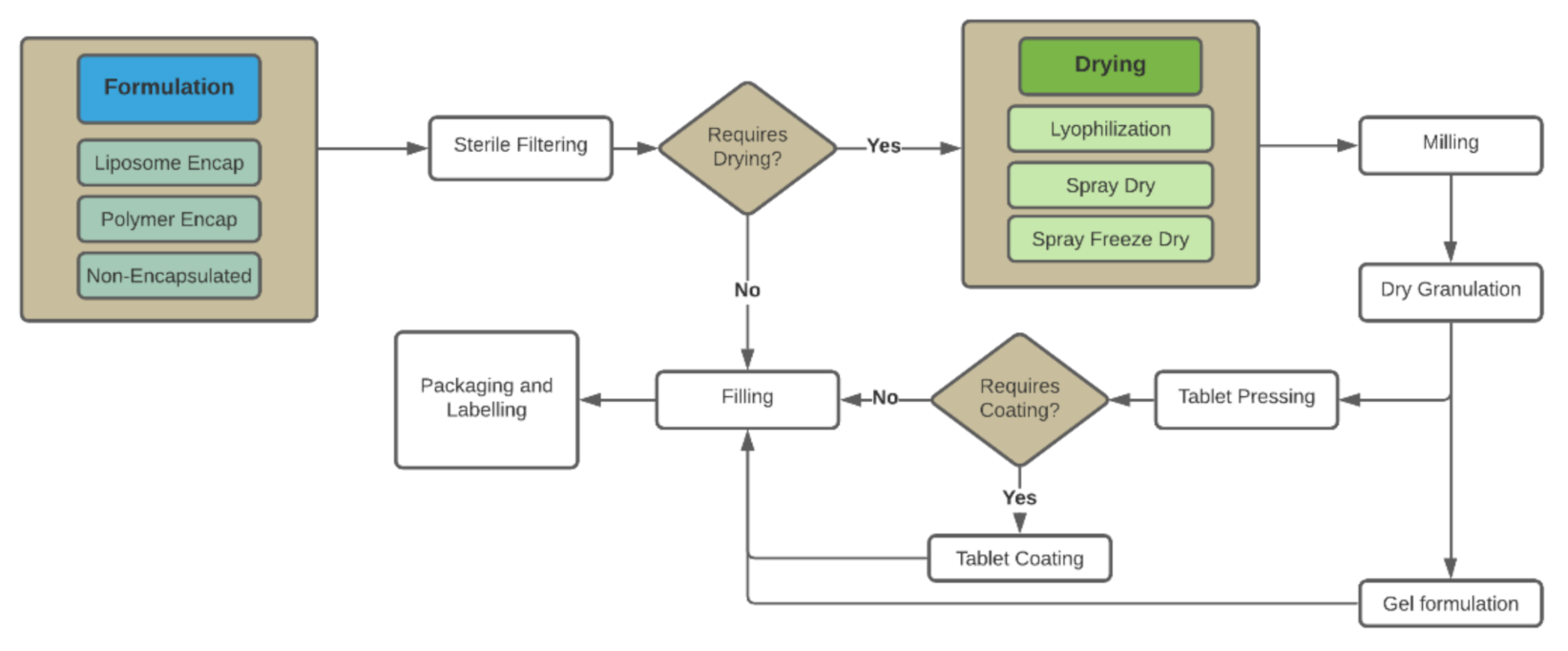 Pharmaceuticals 14 00895 g001