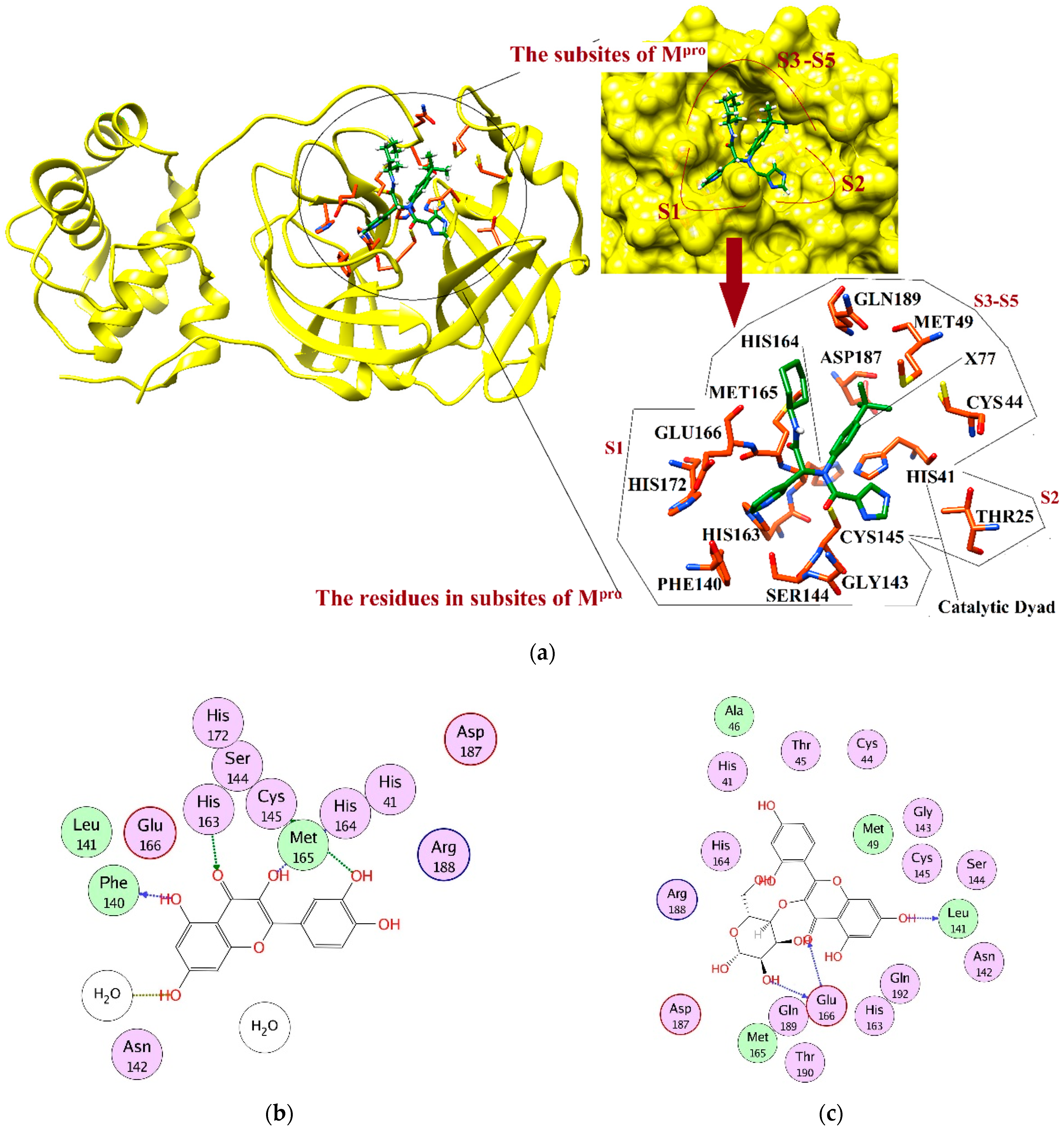 Pharmaceuticals 14 00896 g001a