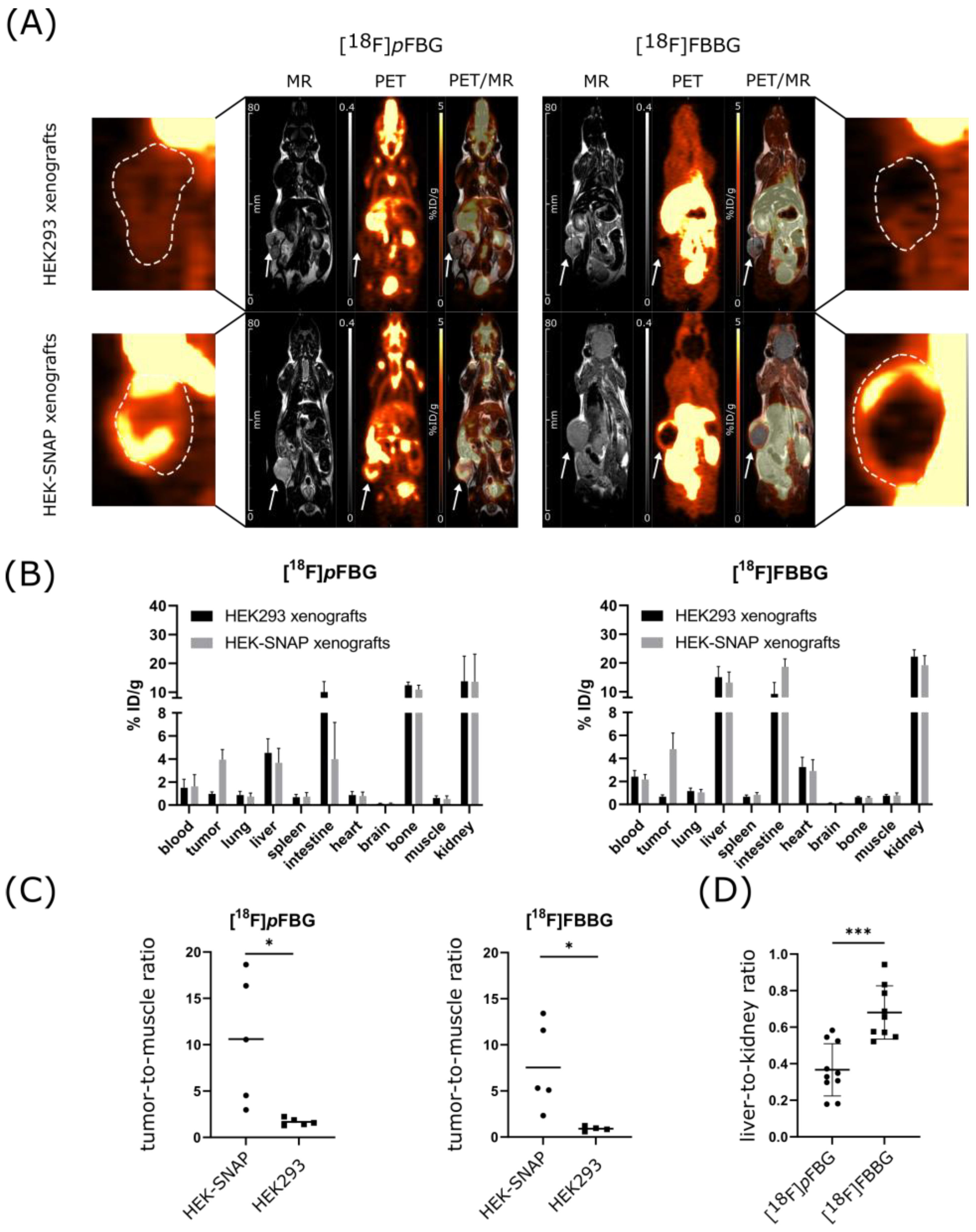 Pharmaceuticals 14 00897 g003