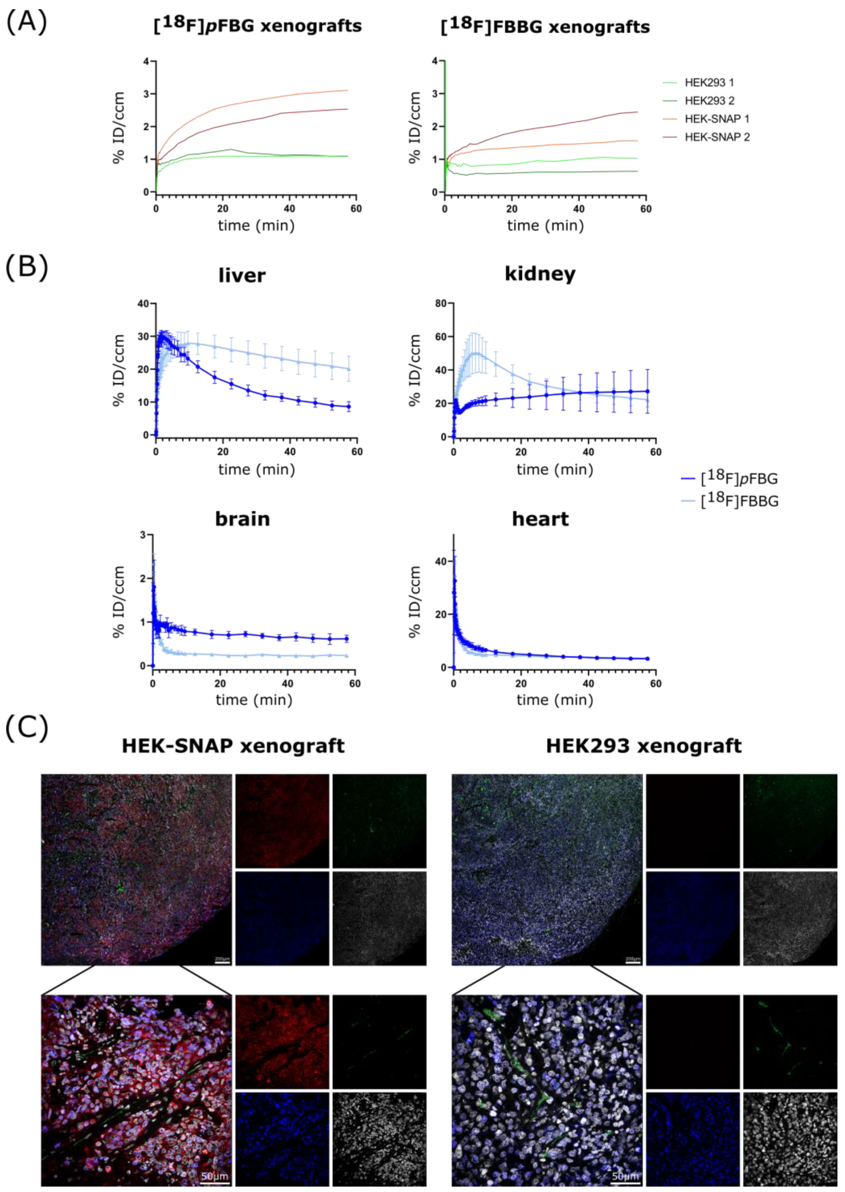 Pharmaceuticals 14 00897 g004