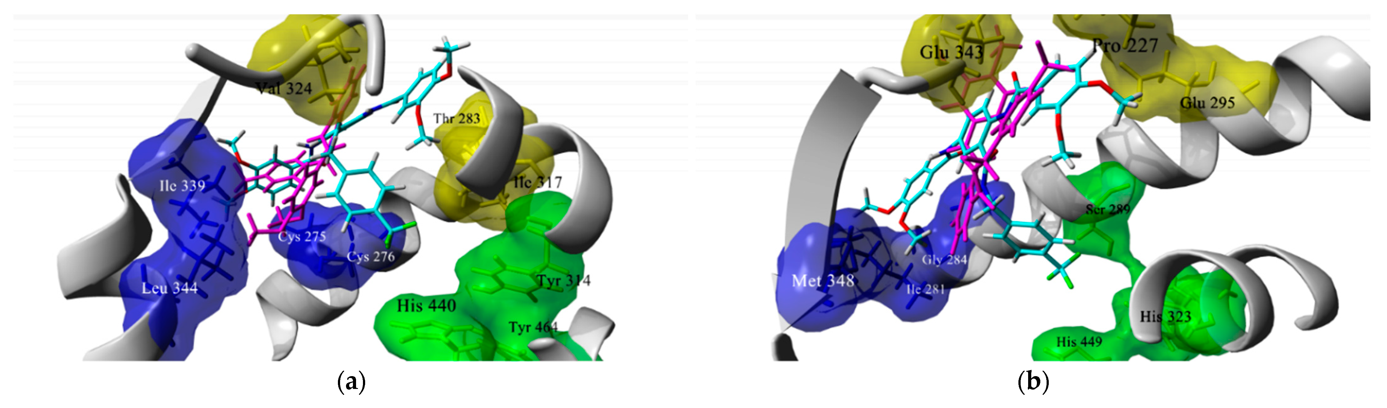 Pharmaceuticals 14 00914 g003