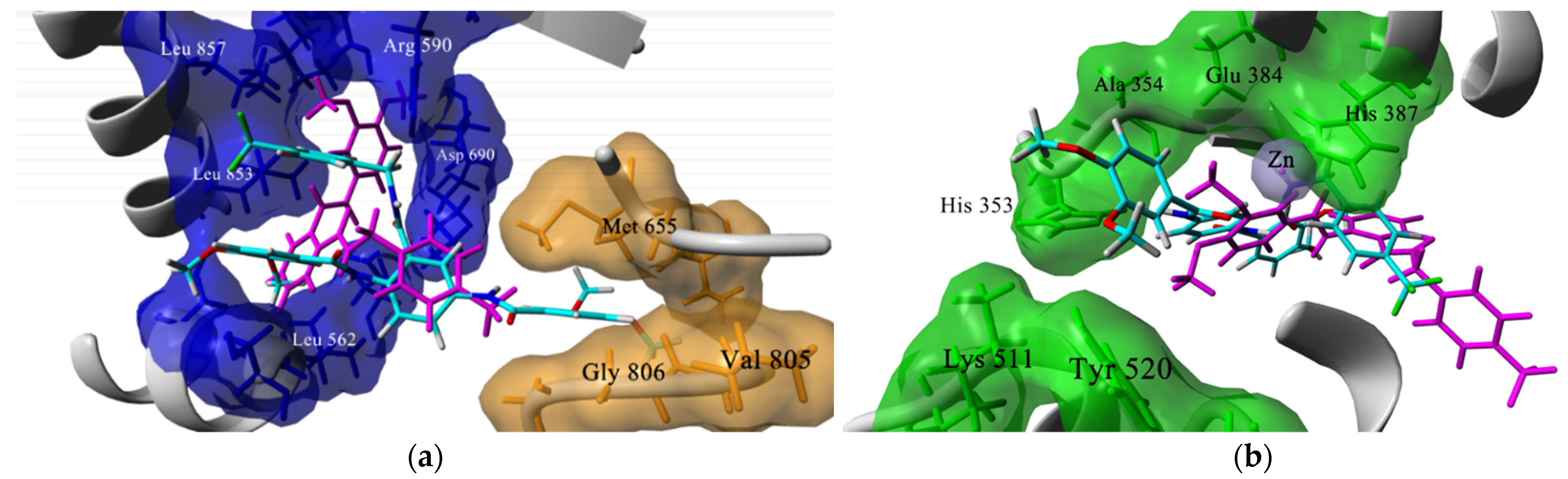Pharmaceuticals 14 00914 g004