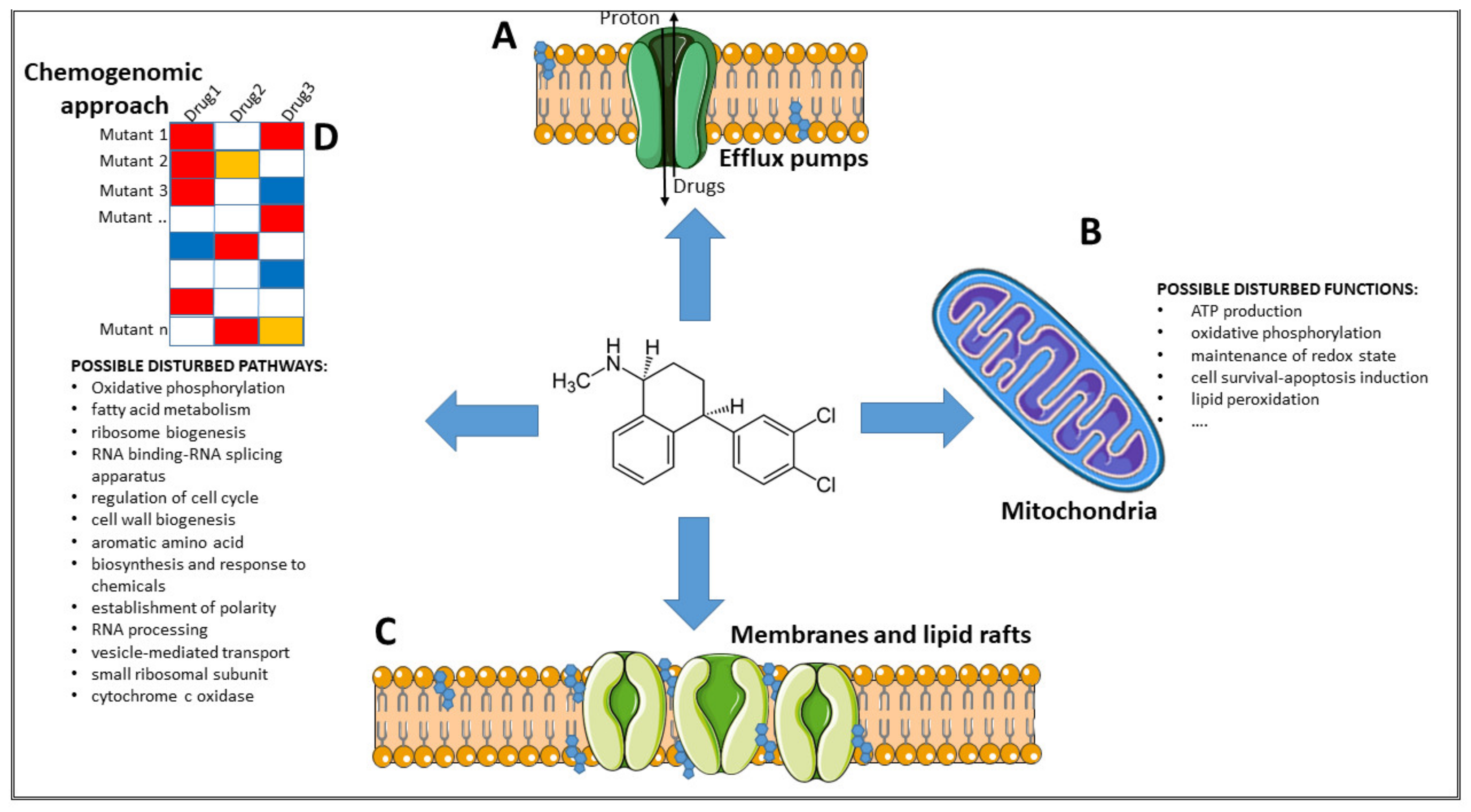 Pharmaceuticals 14 00915 g001
