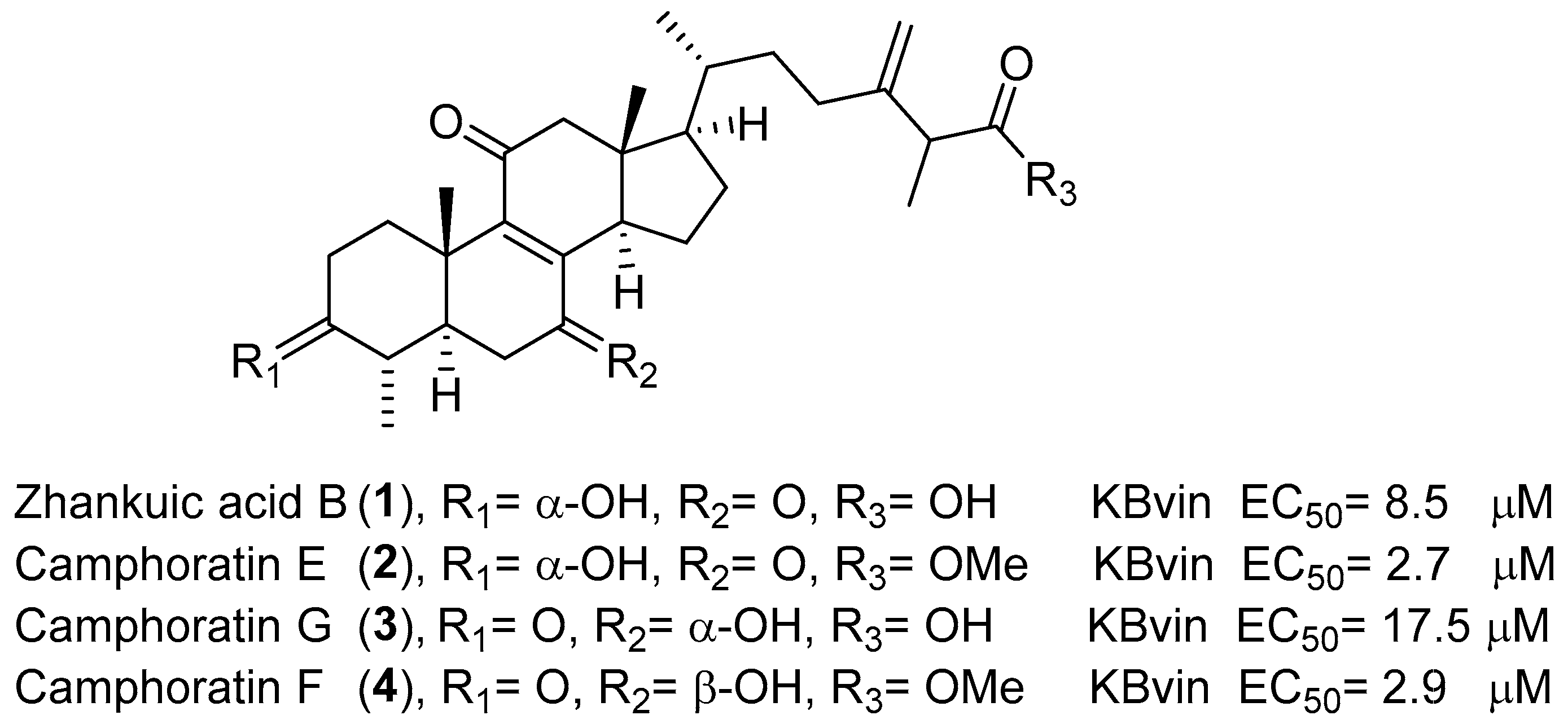 Pharmaceuticals 14 00916 g001