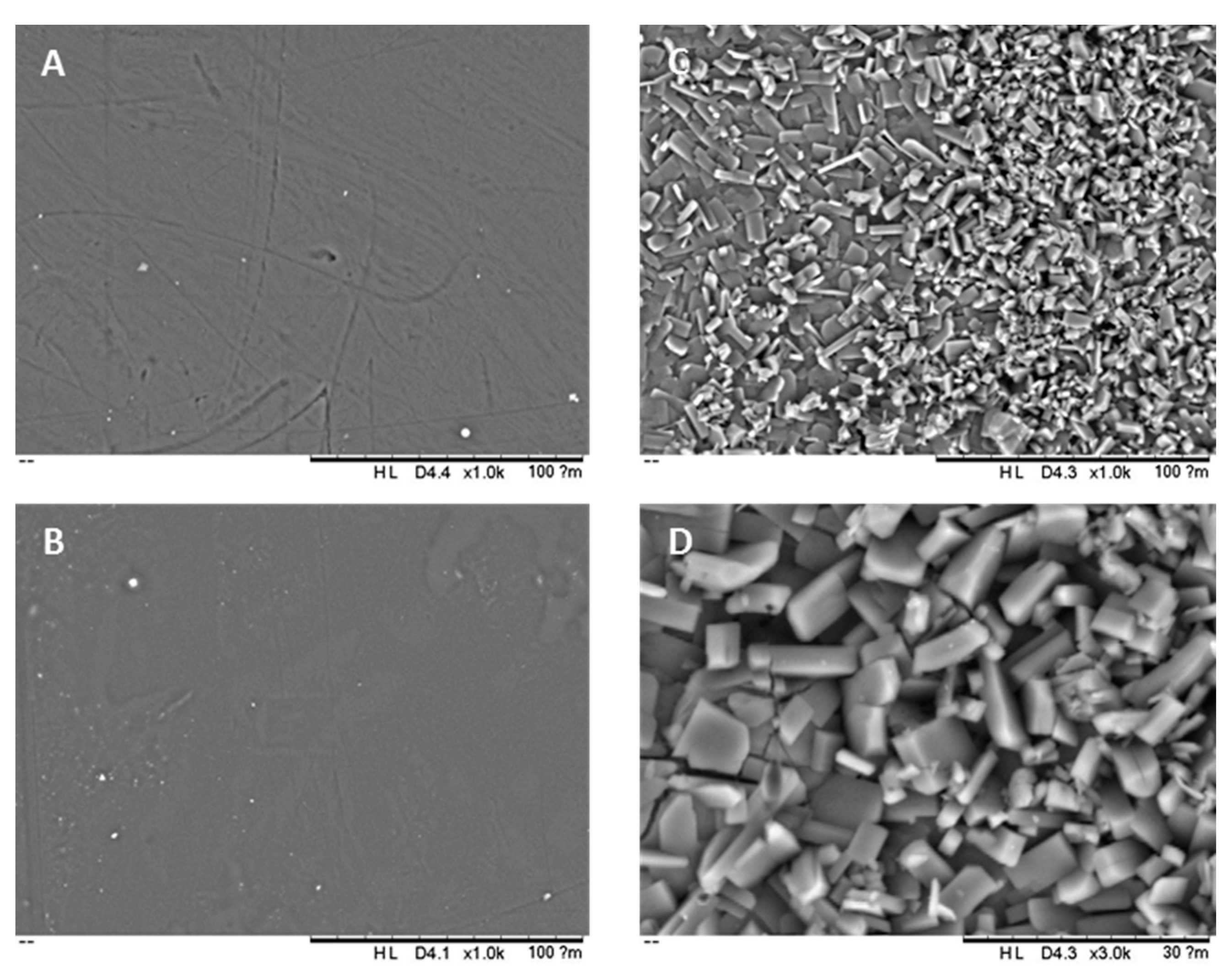 Pharmaceuticals 14 00921 g002