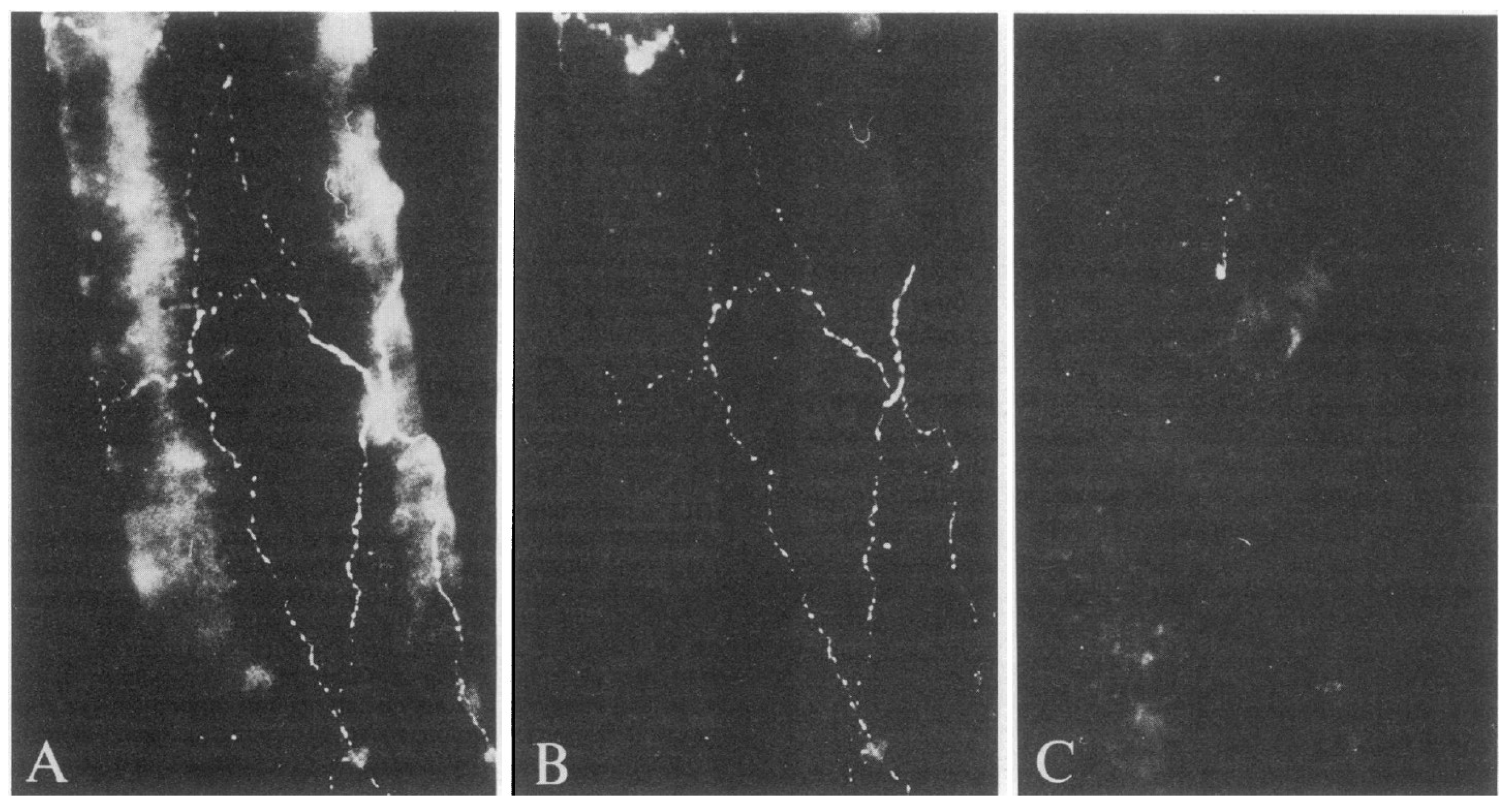 Pharmaceuticals 14 00924 g002