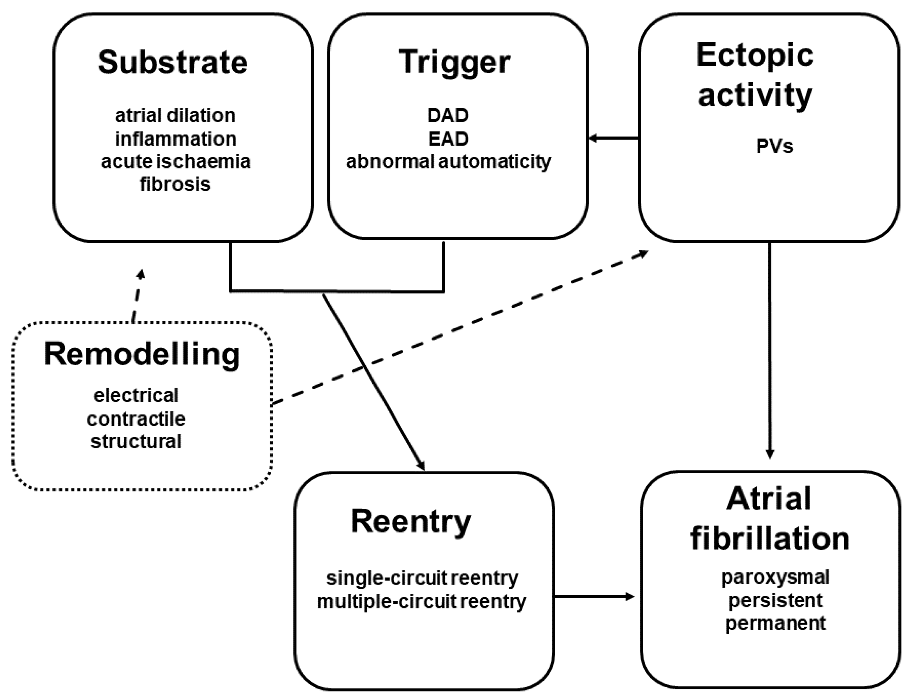 Pharmaceuticals 14 00926 g001