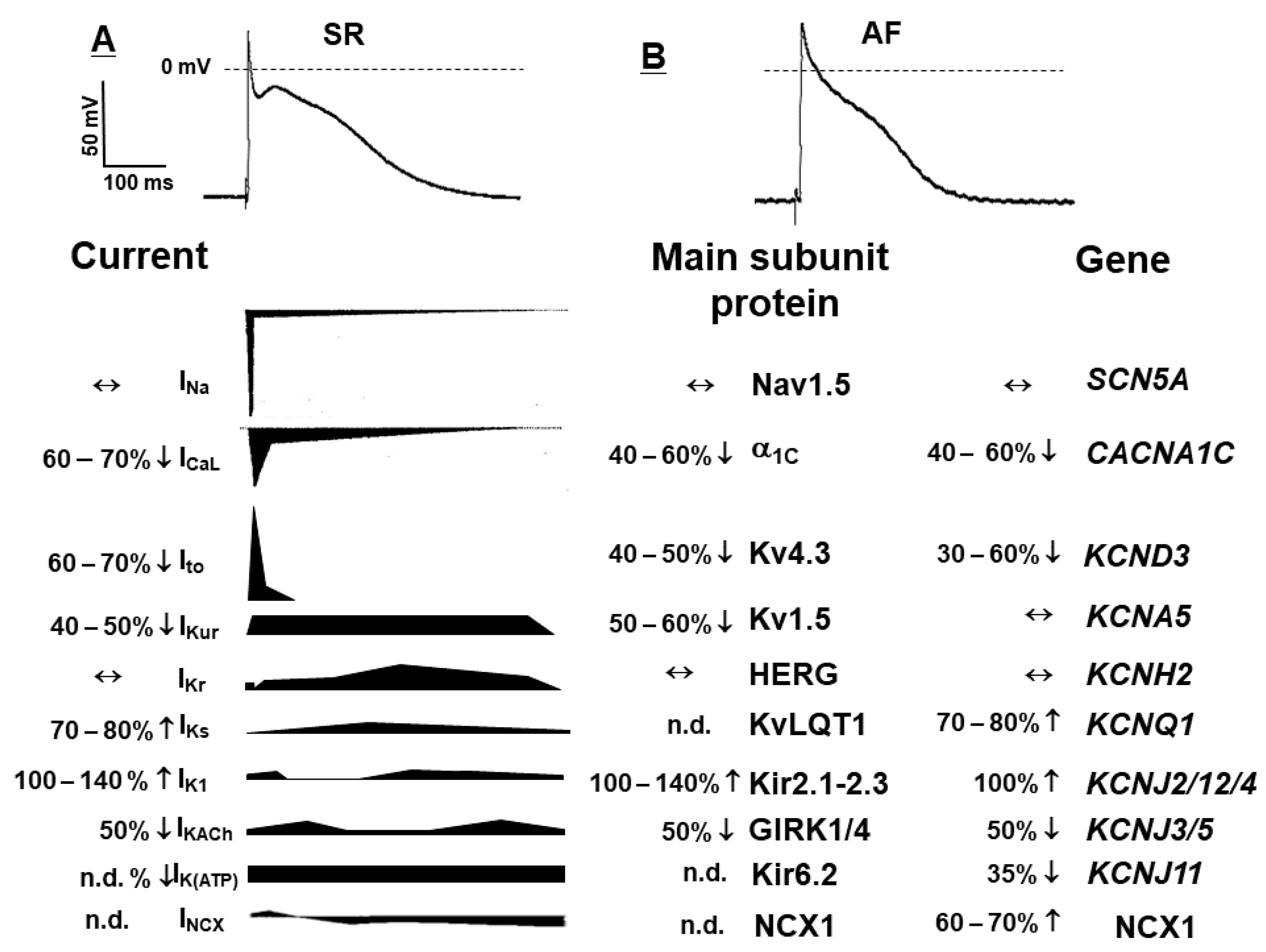 Pharmaceuticals 14 00926 g002