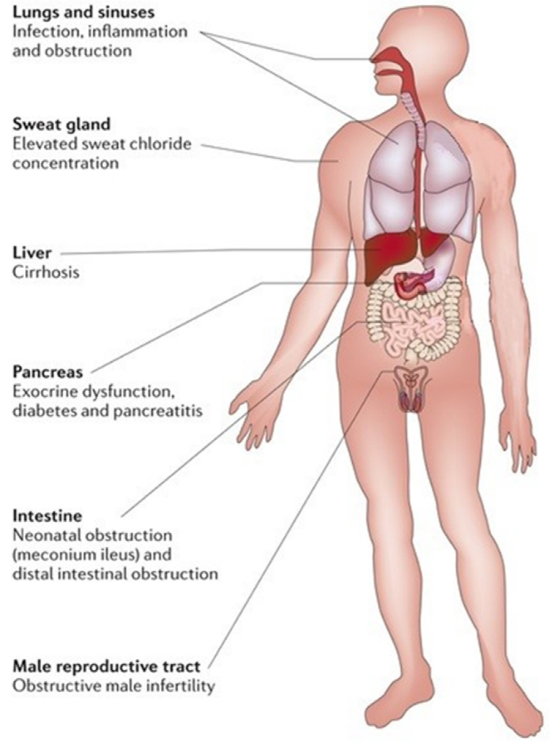 Pharmaceuticals 14 00928 g001