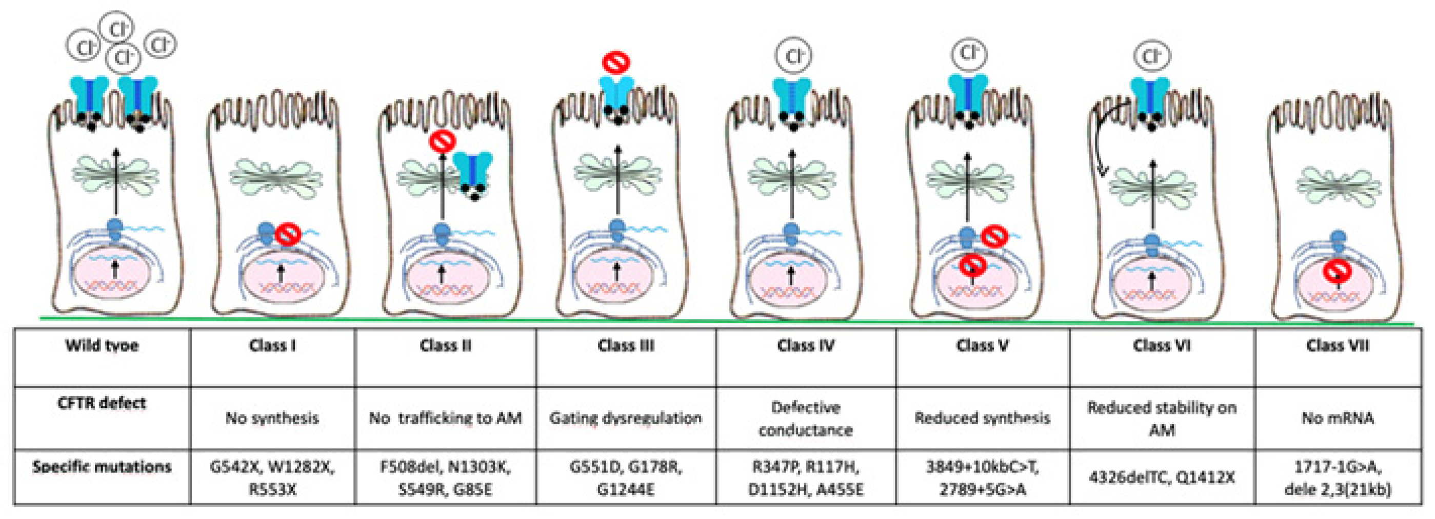 Pharmaceuticals 14 00928 g002