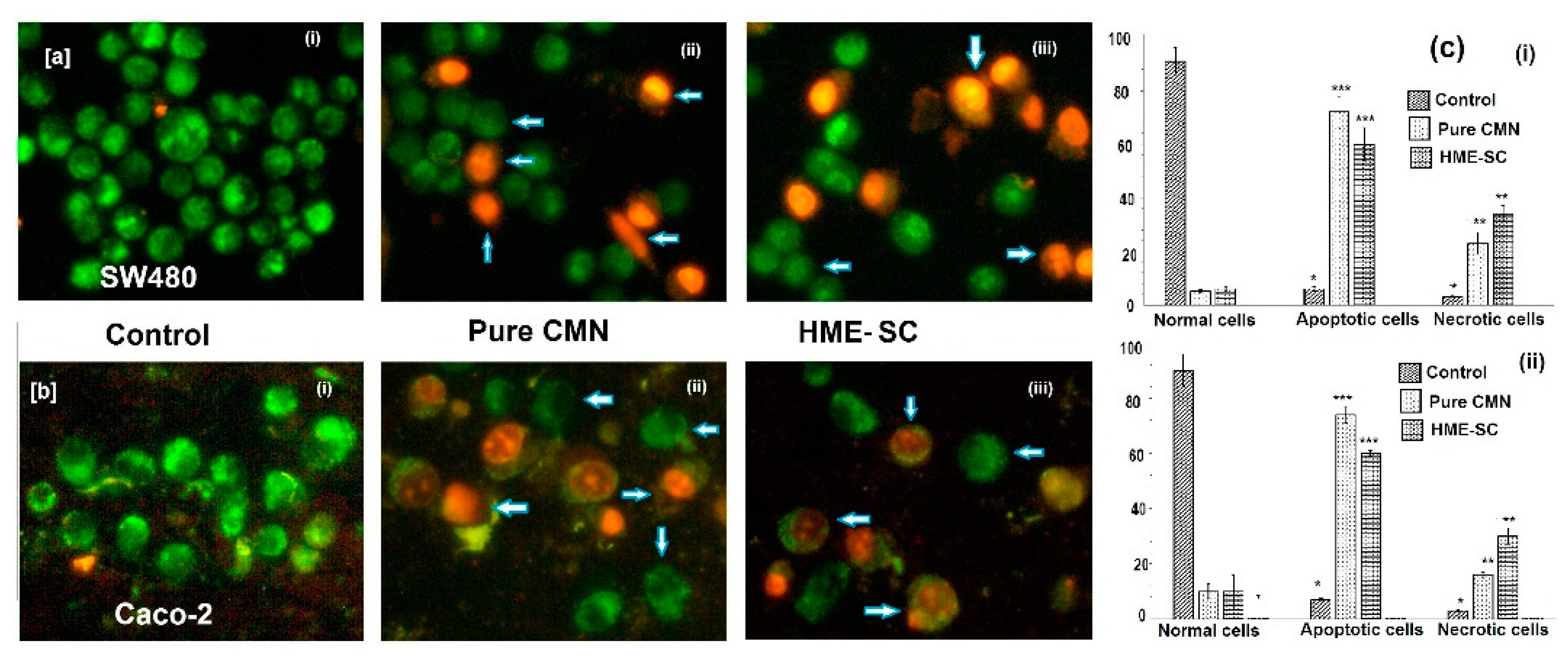 Pharmaceuticals 14 00939 g008